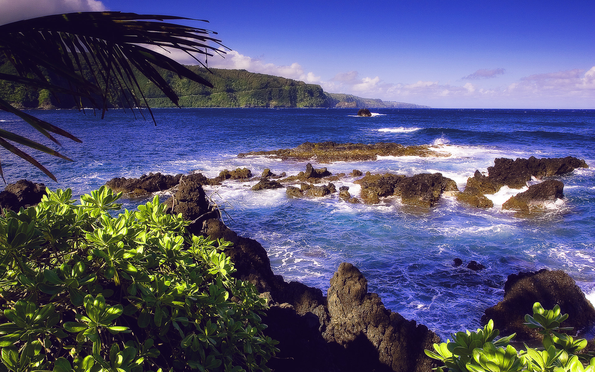 Descarga gratuita de fondo de pantalla para móvil de Costa, Tierra/naturaleza.