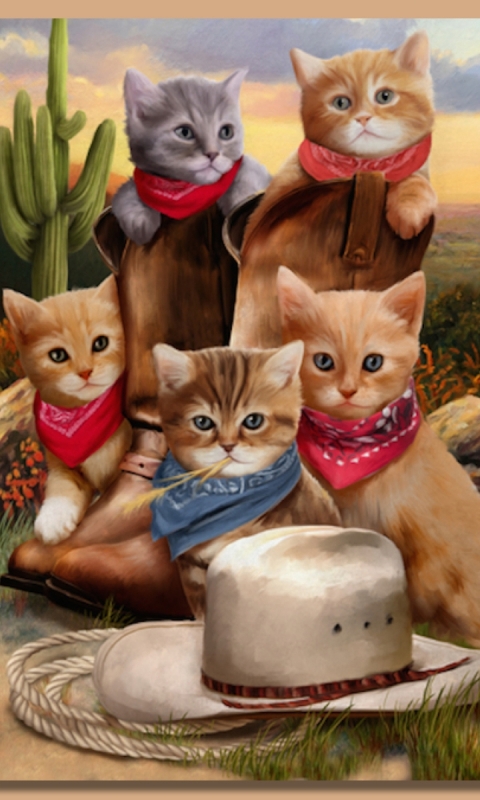 Handy-Wallpaper Humor, Tiere, Katzen, Katze kostenlos herunterladen.