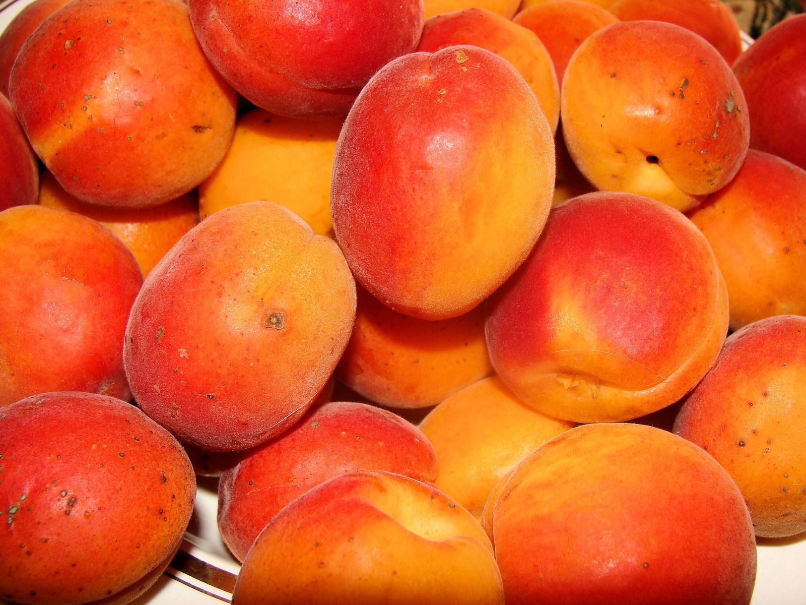 57026 скачать картинку персики, абрикосы, спелый, фрукты, еда, вкусно - обои и заставки бесплатно