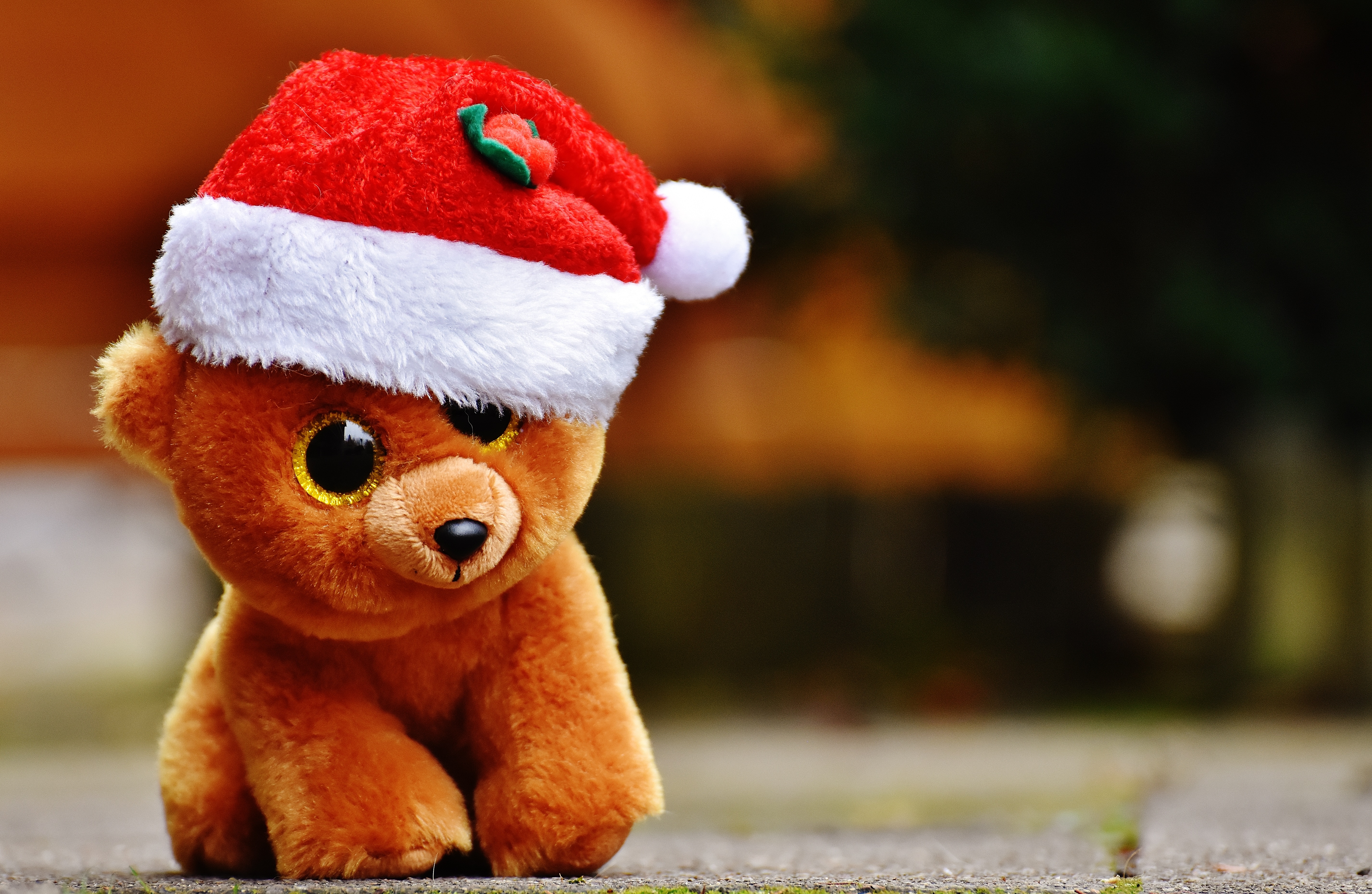 teddy bear, holidays, christmas, toy HD wallpaper