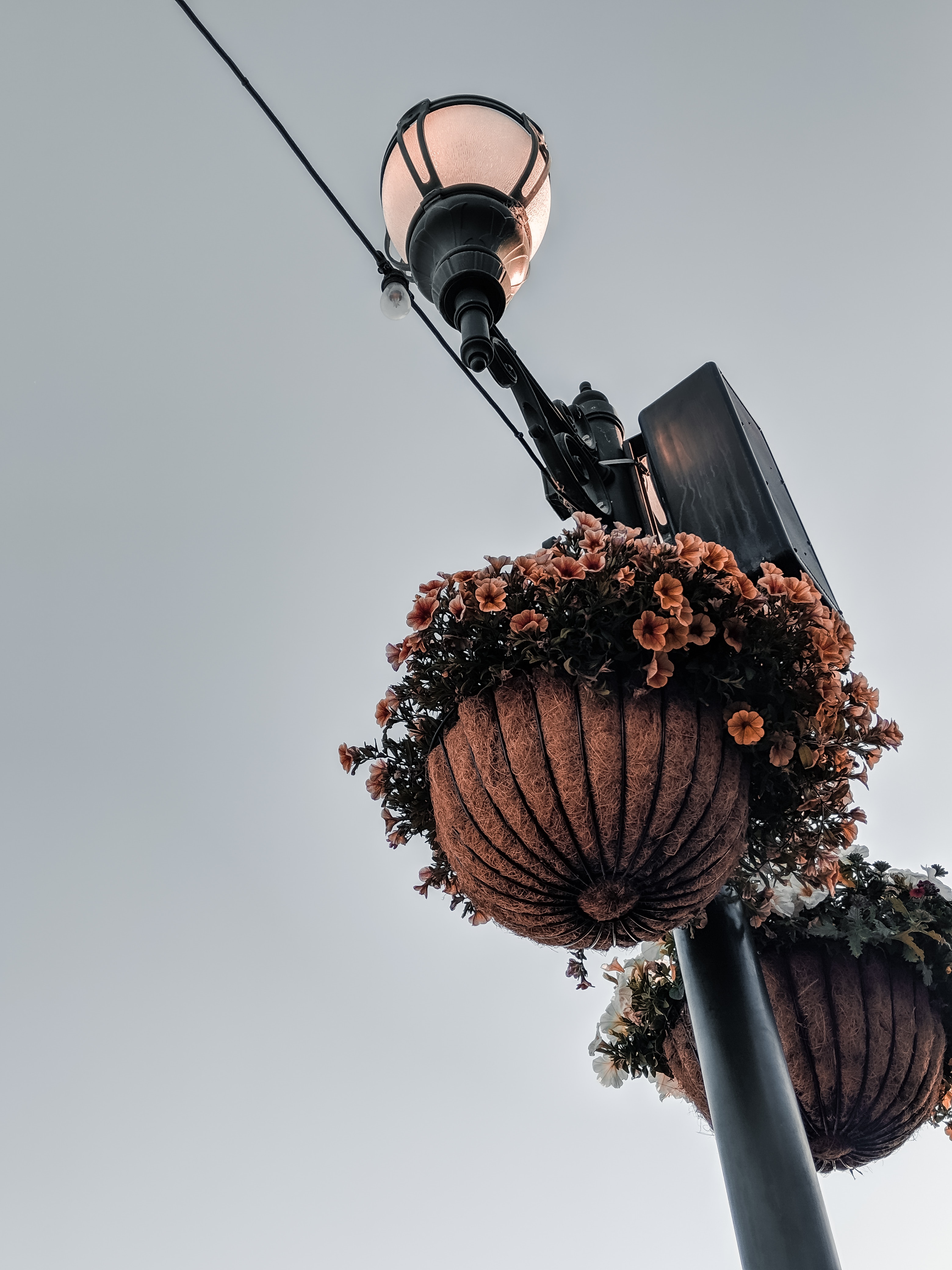 flowers, lamp, lantern, pillar, post, decoration, pots