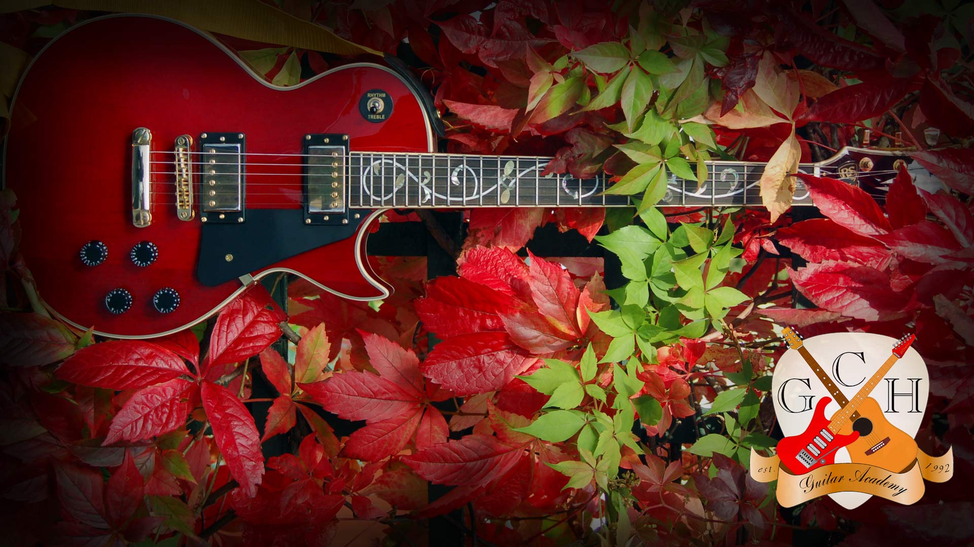 guitar, music, instrument, leaf