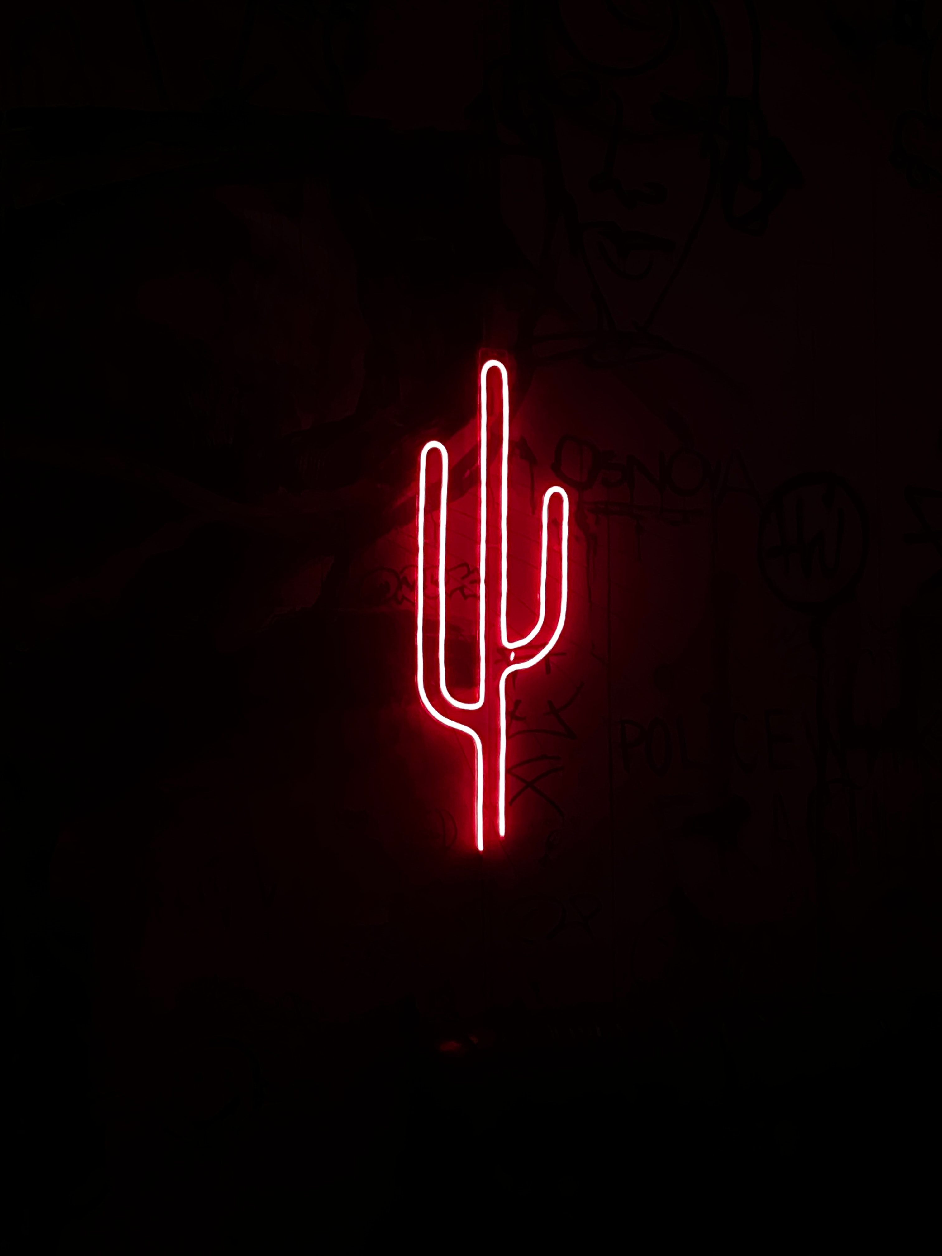 Download mobile wallpaper Neon, Cactus, Light, Shine, Darkness, Dark for free.