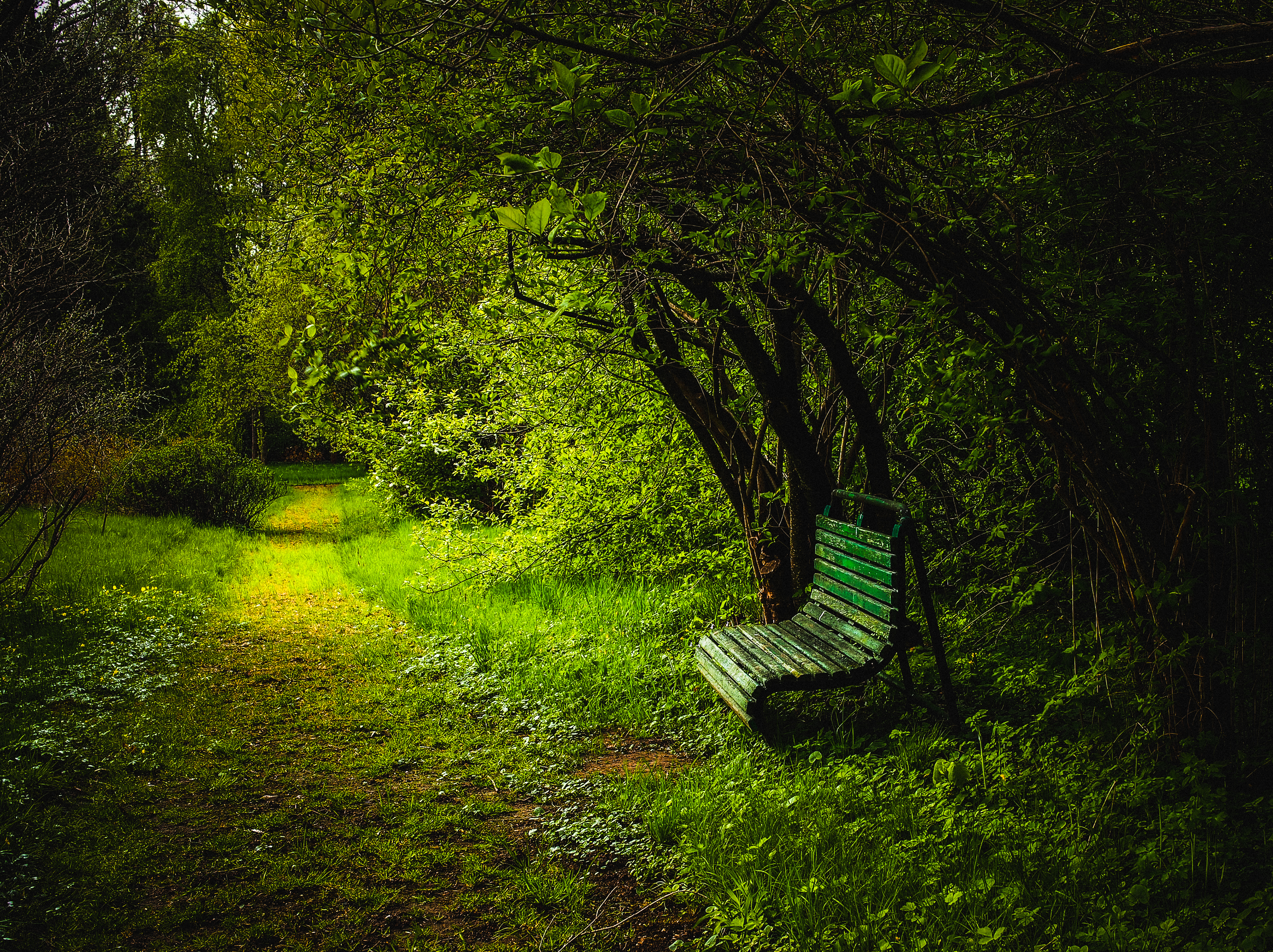 Download mobile wallpaper Forest, Path, Bench, Man Made for free.