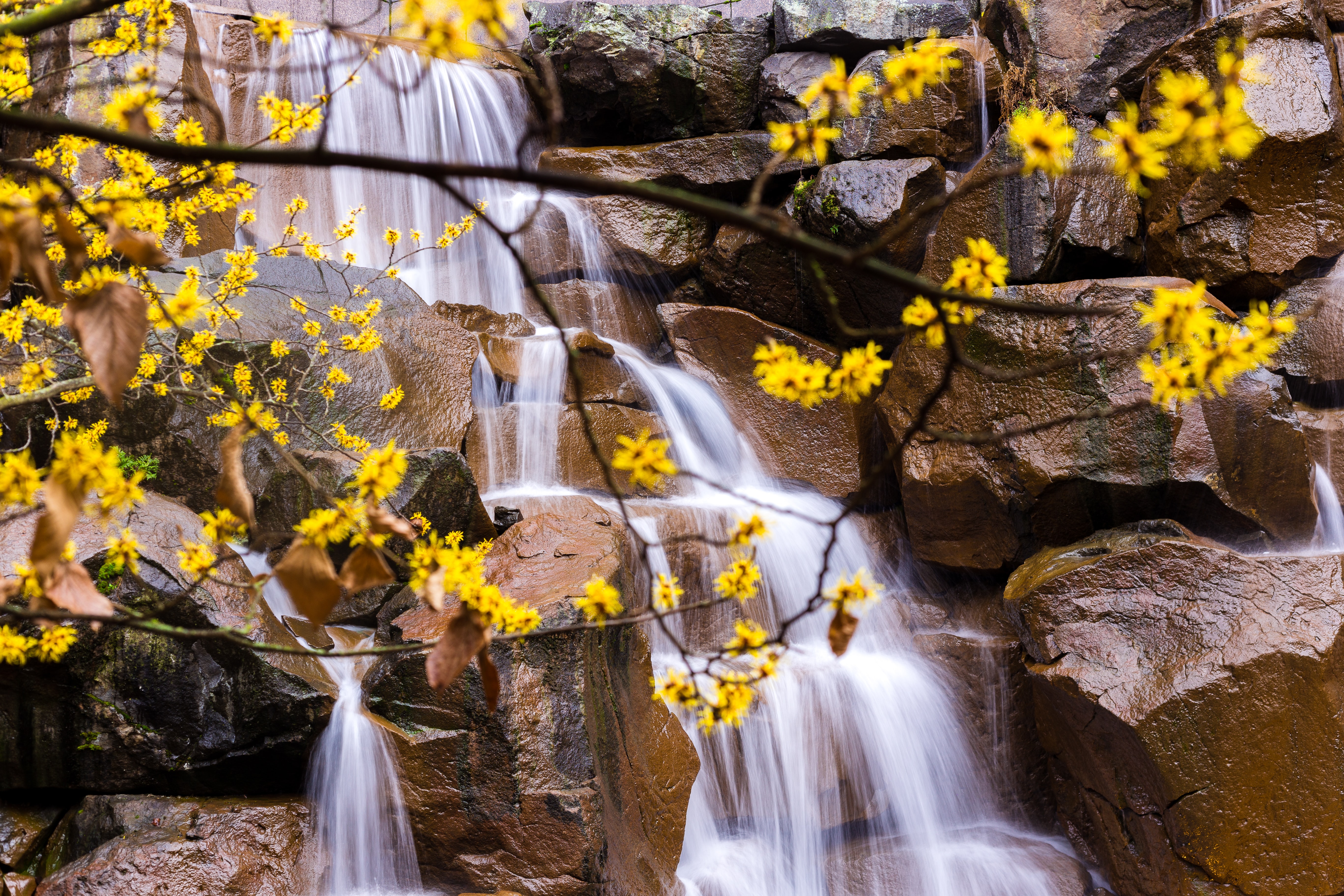 Free download wallpaper Nature, Stones, Waterfall, Branches, Leaves on your PC desktop