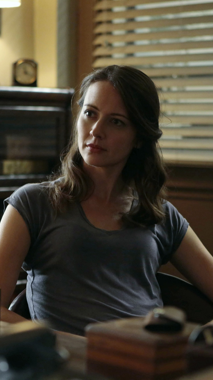 tv show, person of interest, amy acker iphone wallpaper