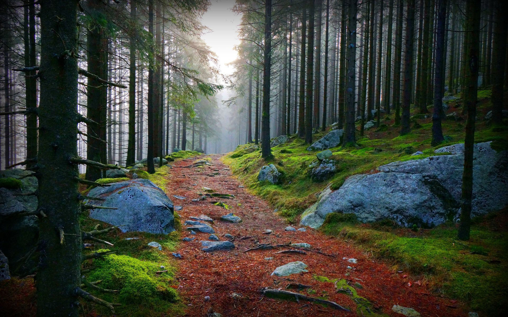 Descarga gratis la imagen Camino, Tierra/naturaleza en el escritorio de tu PC