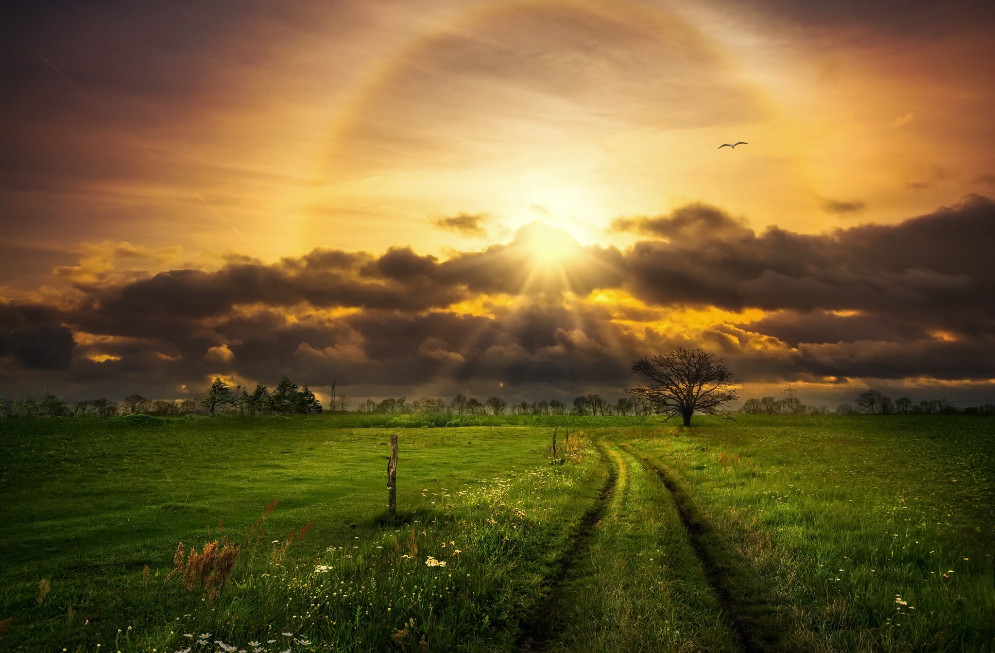 Download mobile wallpaper Nature, Sunset, Sky, Earth, Field, Path, Cloud, Sunbeam for free.