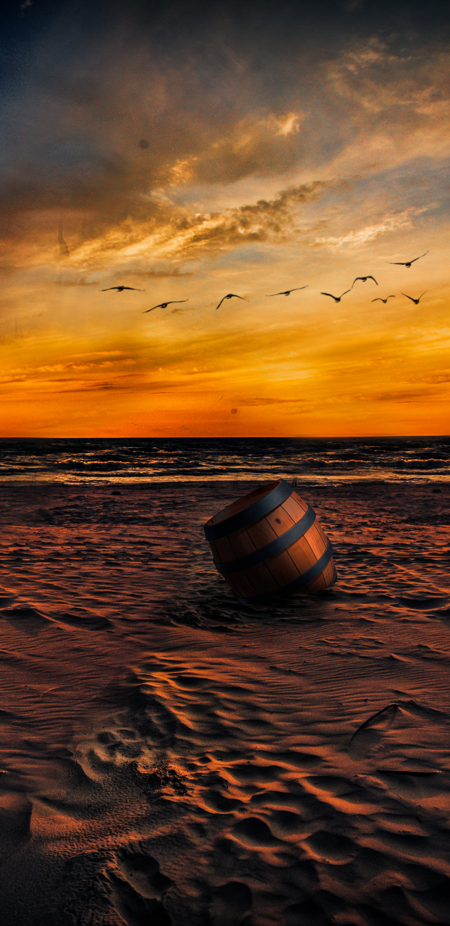Download mobile wallpaper Sunset, Sky, Beach, Sand, Horizon, Bird, Artistic, Barrel, Manipulation for free.