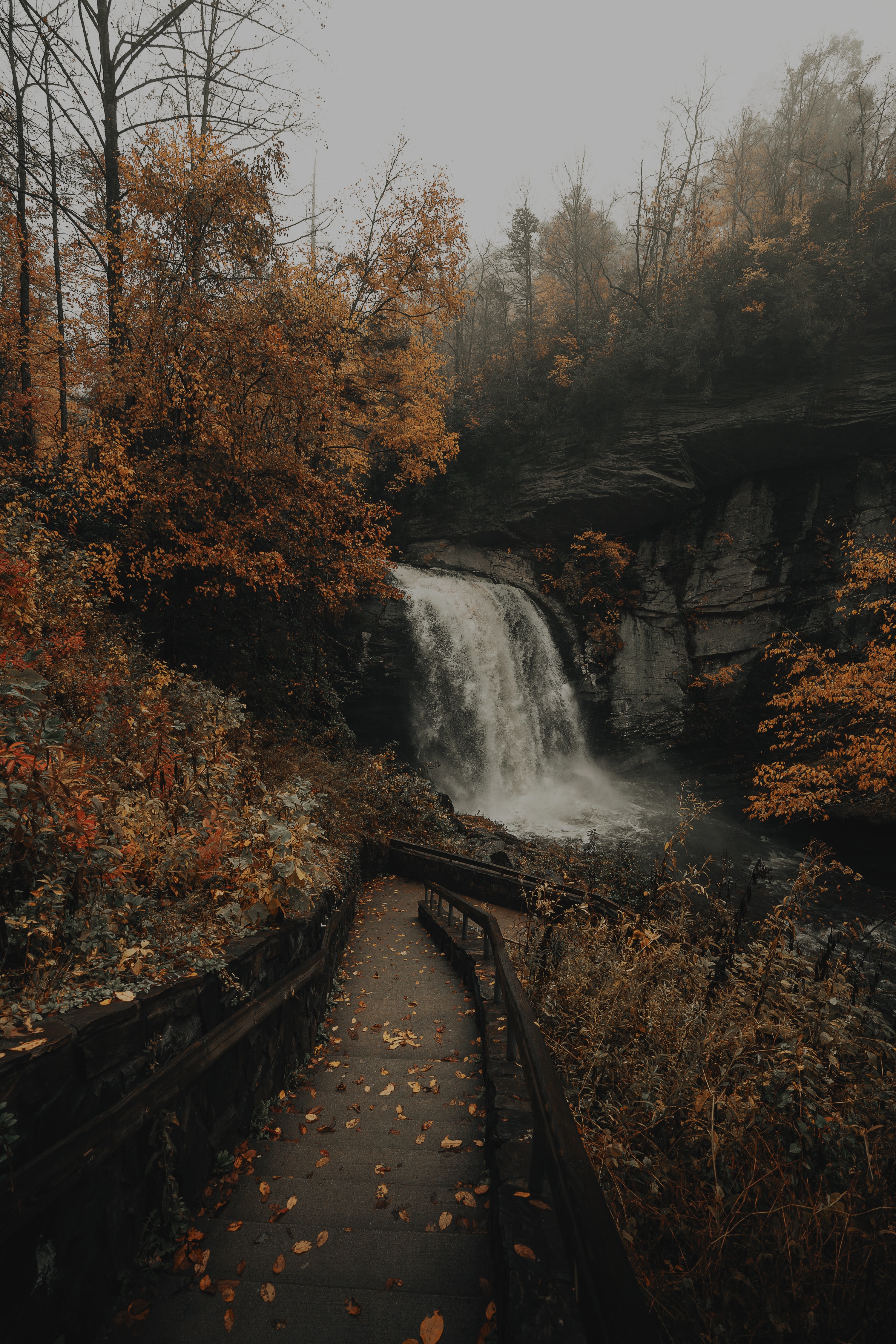 waterfall, nature, rivers, trees, rocks, stairs, ladder