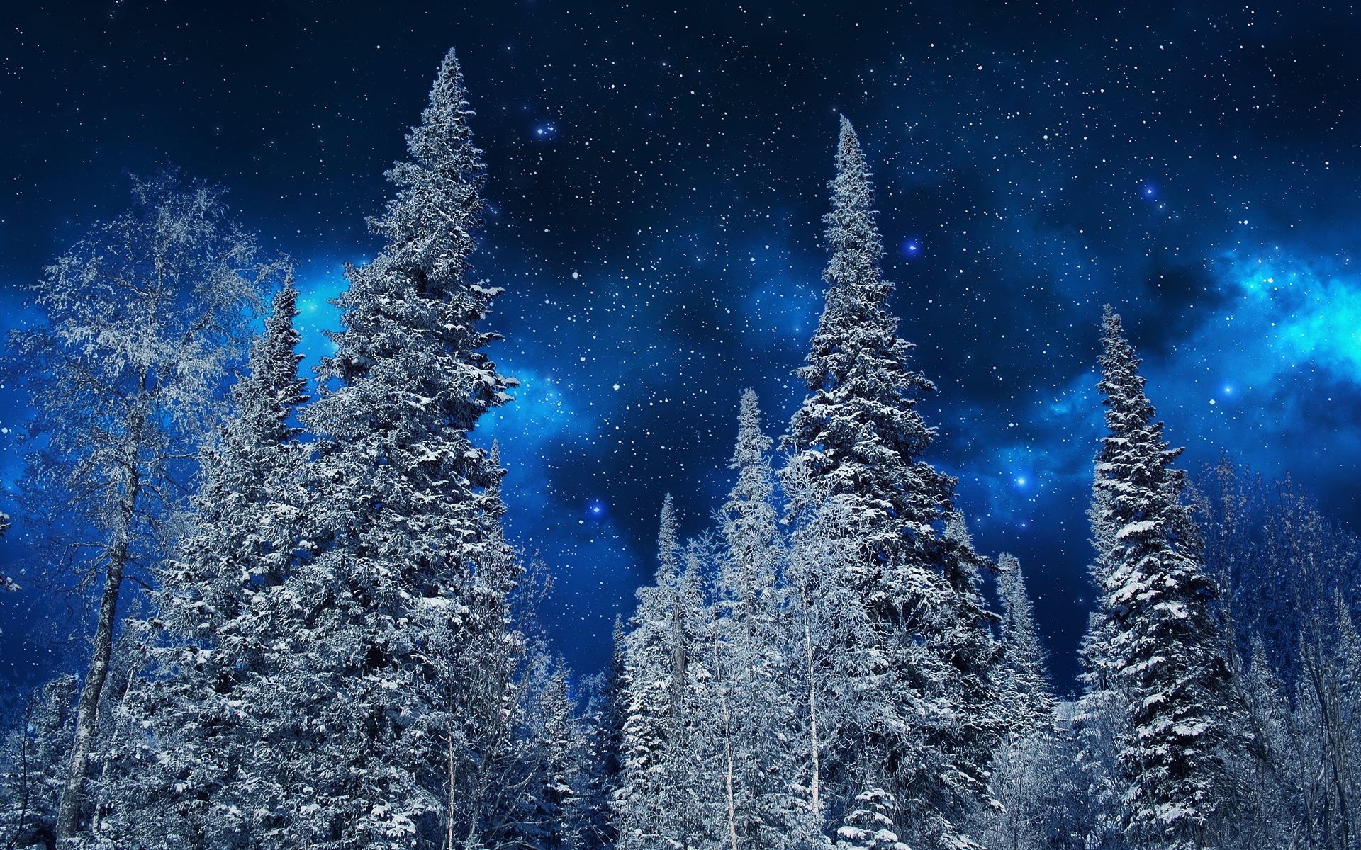 Скачать обои бесплатно Зима, Небо, Звезды, Снег, Лес, Дерево, Звездное Небо, Земля/природа картинка на рабочий стол ПК