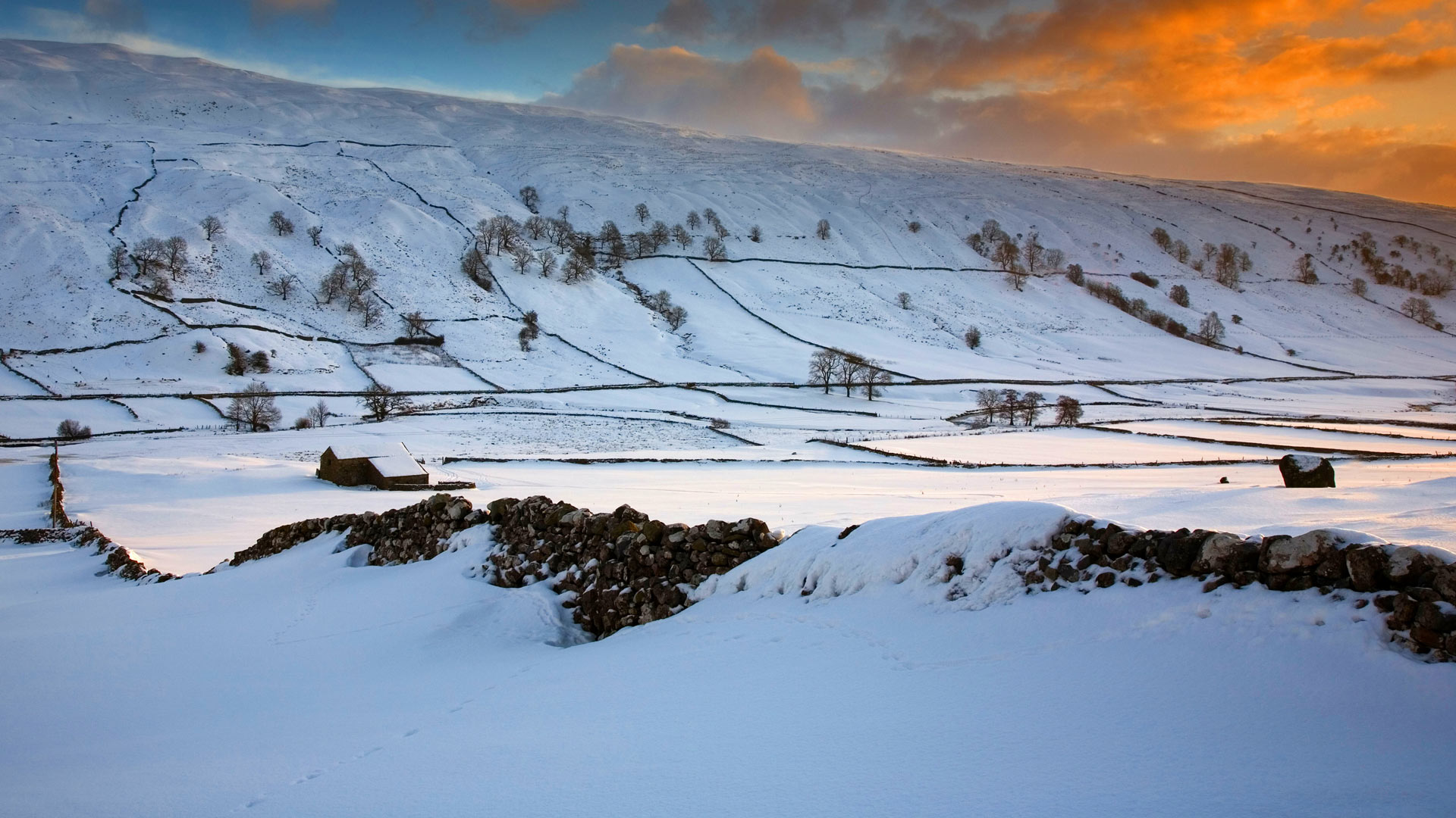 Download mobile wallpaper Landscape, Winter, Snow, Earth, Field for free.