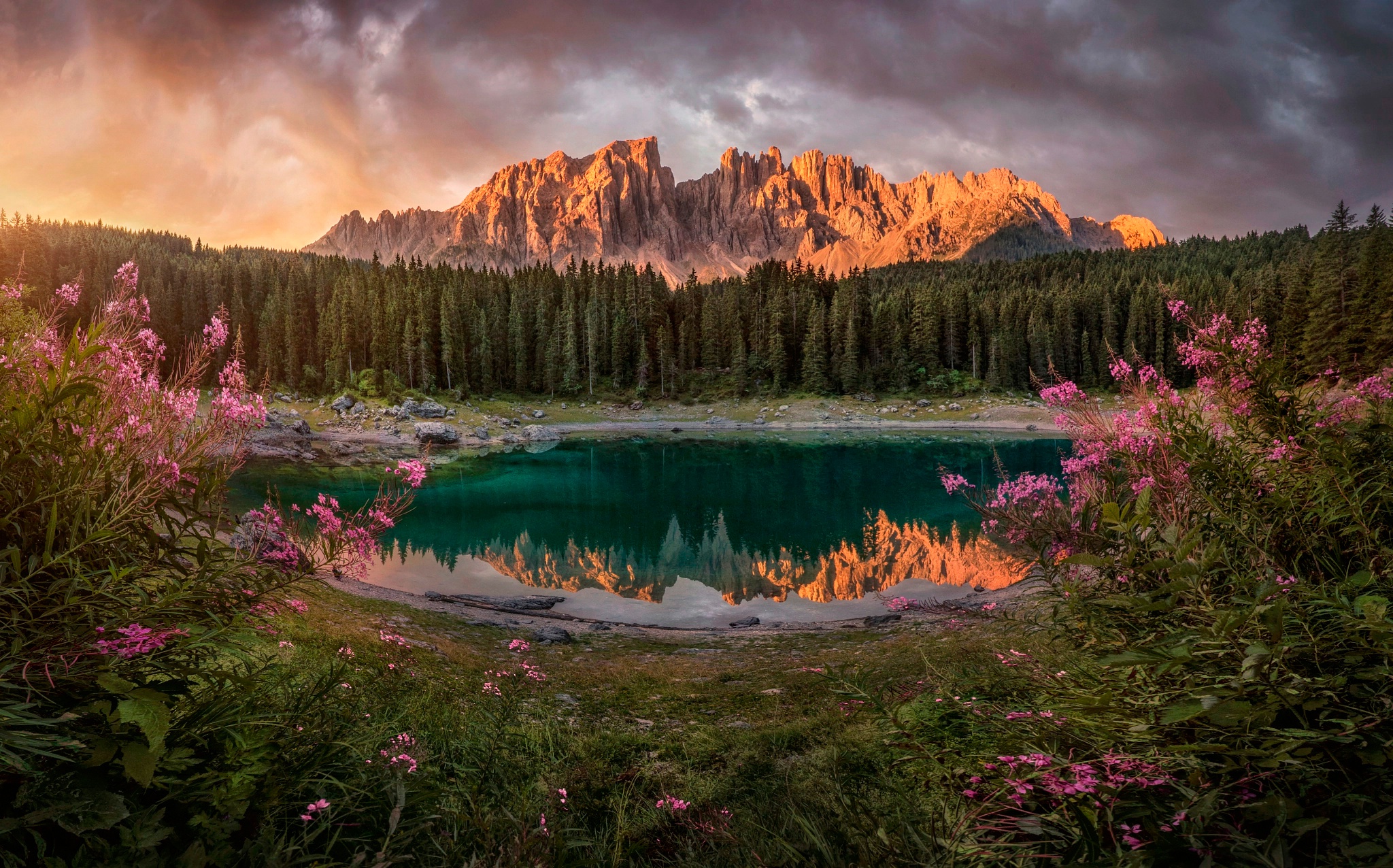 PCデスクトップに自然, 湖, 山, 反射, 森, 地球, ピンクの花画像を無料でダウンロード