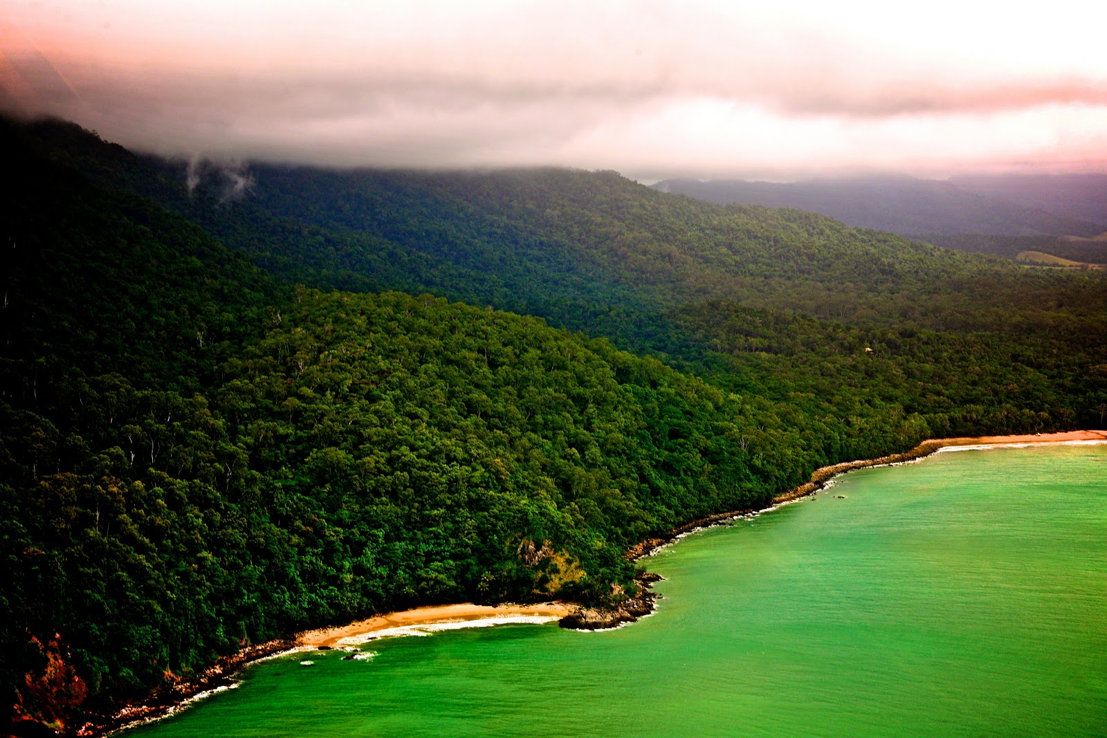 Laden Sie Daintree Regenwald HD-Desktop-Hintergründe herunter