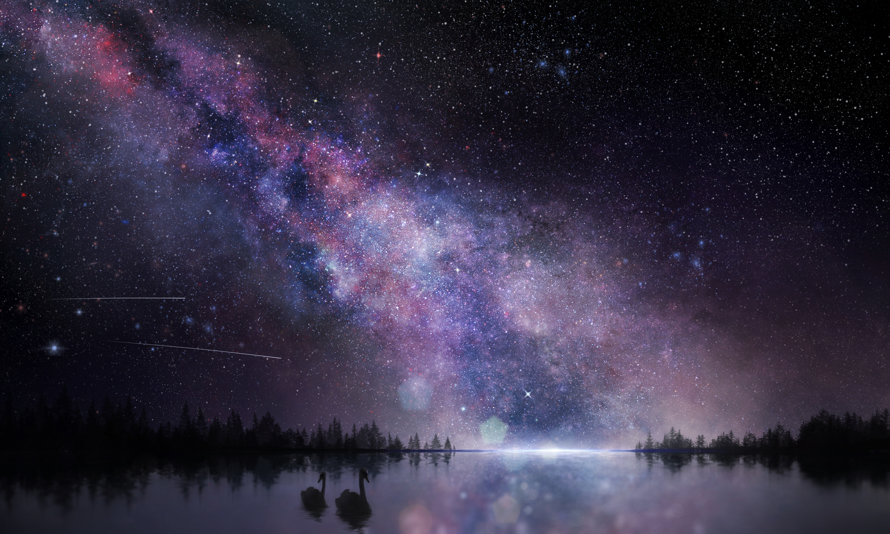 Download mobile wallpaper Anime, Sky, Stars, Night, Silhouette, Swan for free.