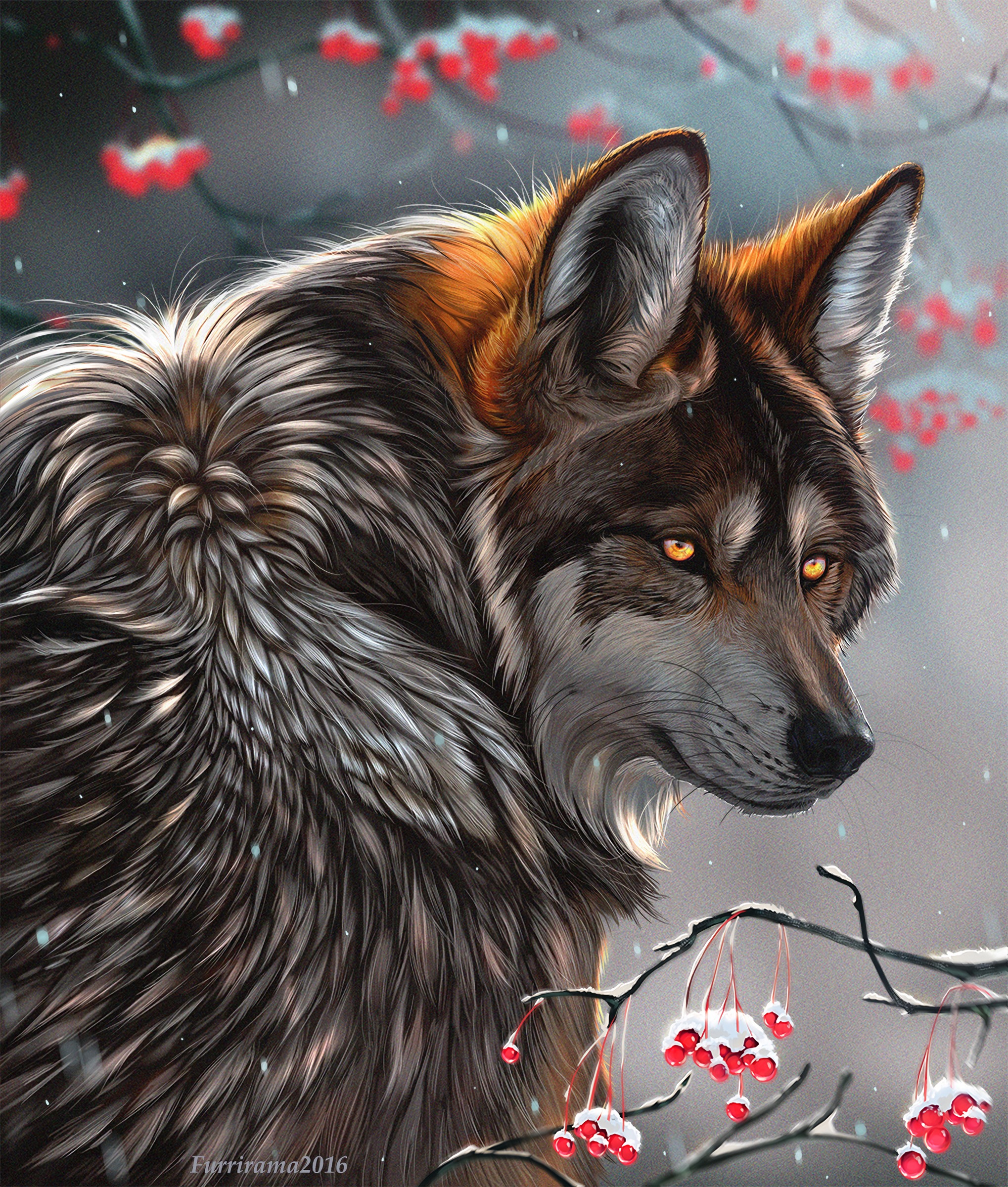 wolf, predator, berries, art, branches, sight, opinion HD wallpaper