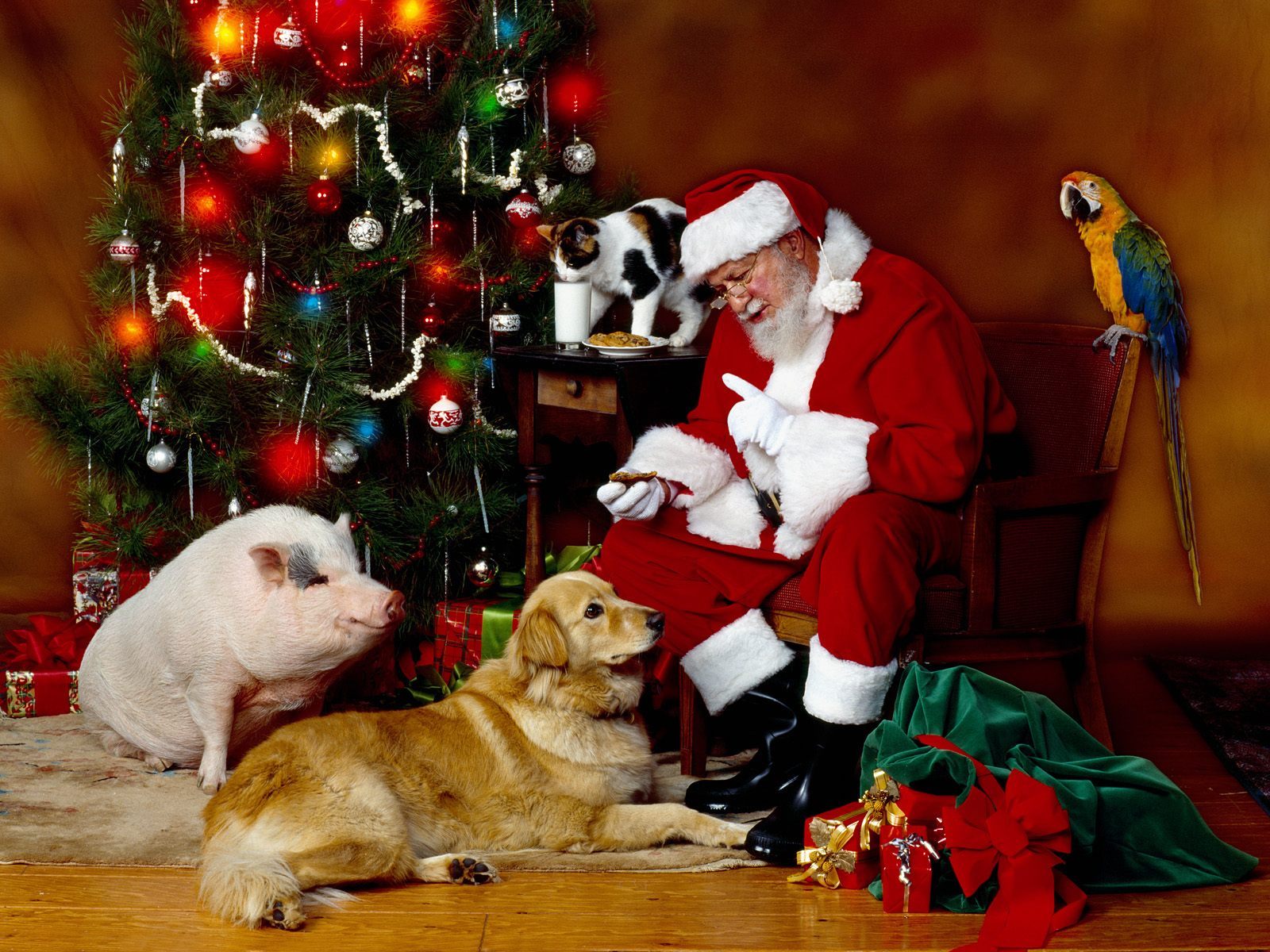 Скачать картинку Новый Год (New Year), Санта Клаус (Santa Claus), Праздники, Животные, Рождество (Christmas Xmas), Люди в телефон бесплатно.