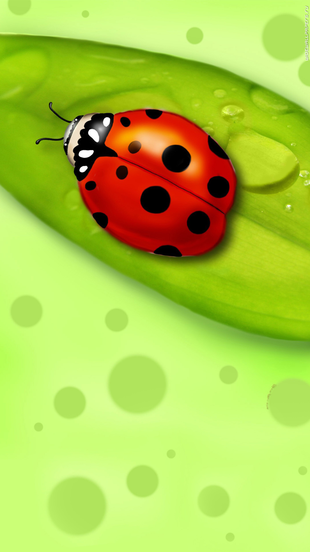 pictures, insects, ladybugs, green 4K