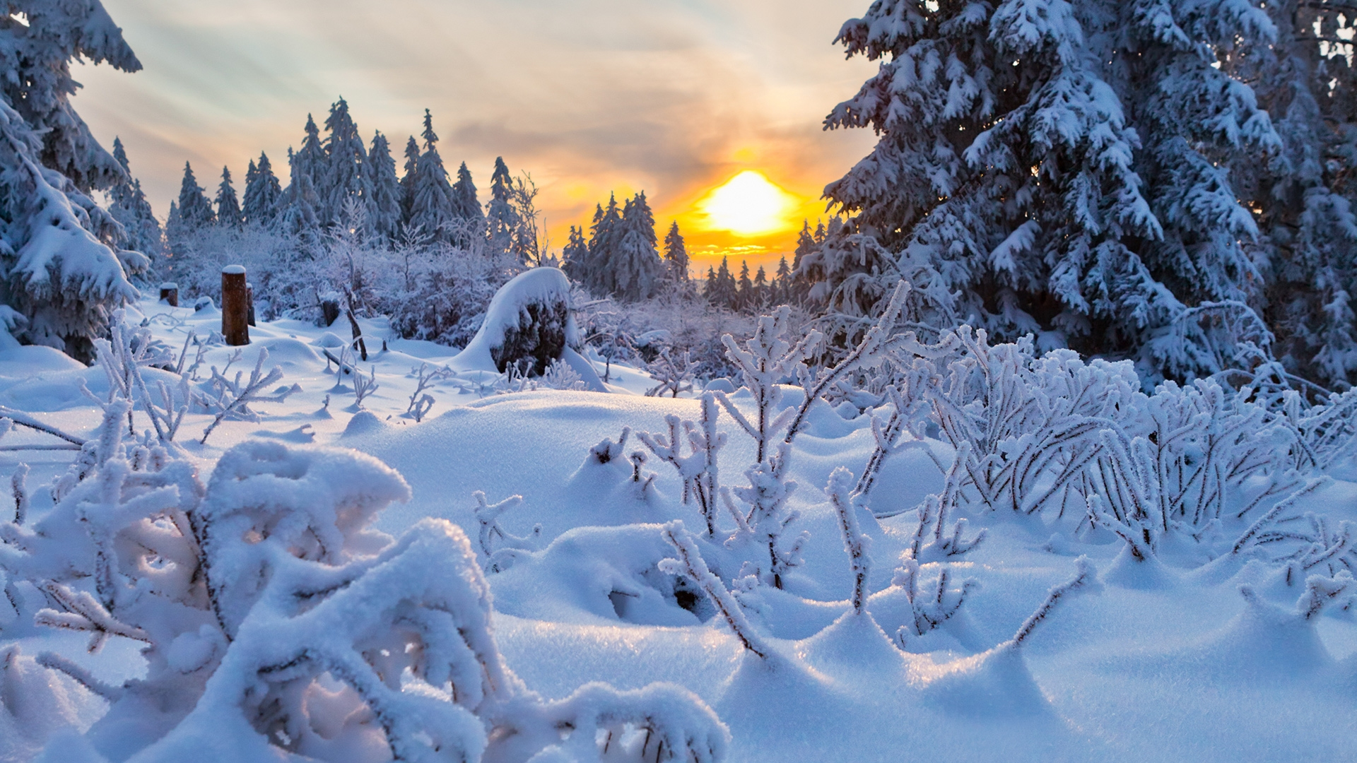 Baixe gratuitamente a imagem Inverno, Pôr Do Sol, Neve, Árvore, Terra/natureza na área de trabalho do seu PC