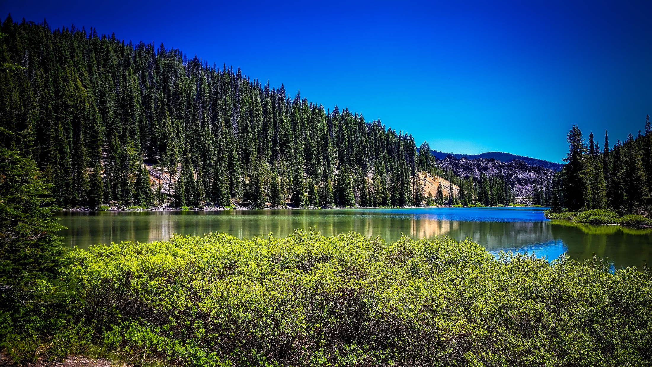 Laden Sie das Natur, Seen, See, Wald, Baum, Oregon, Vereinigte Staaten Von Amerika, Erde/natur, Tod Lake-Bild kostenlos auf Ihren PC-Desktop herunter