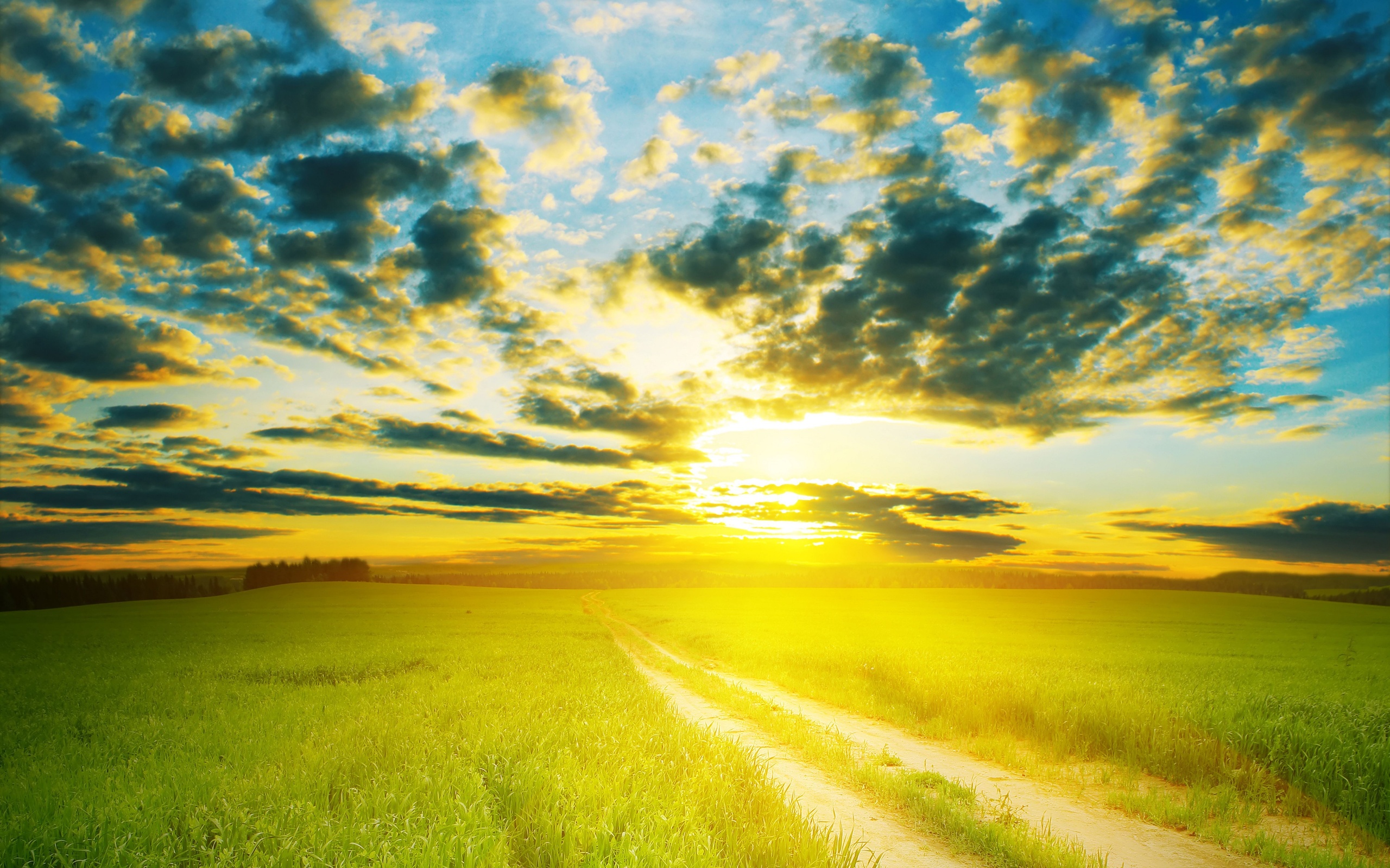 Download mobile wallpaper Sunrise, Field, Road, Earth, Cloud, Landscape for free.
