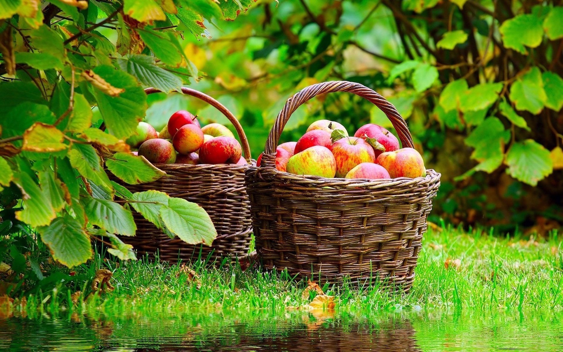 PCデスクトップにフルーツ, 水, アップル, 反射, 果物, 食べ物画像を無料でダウンロード
