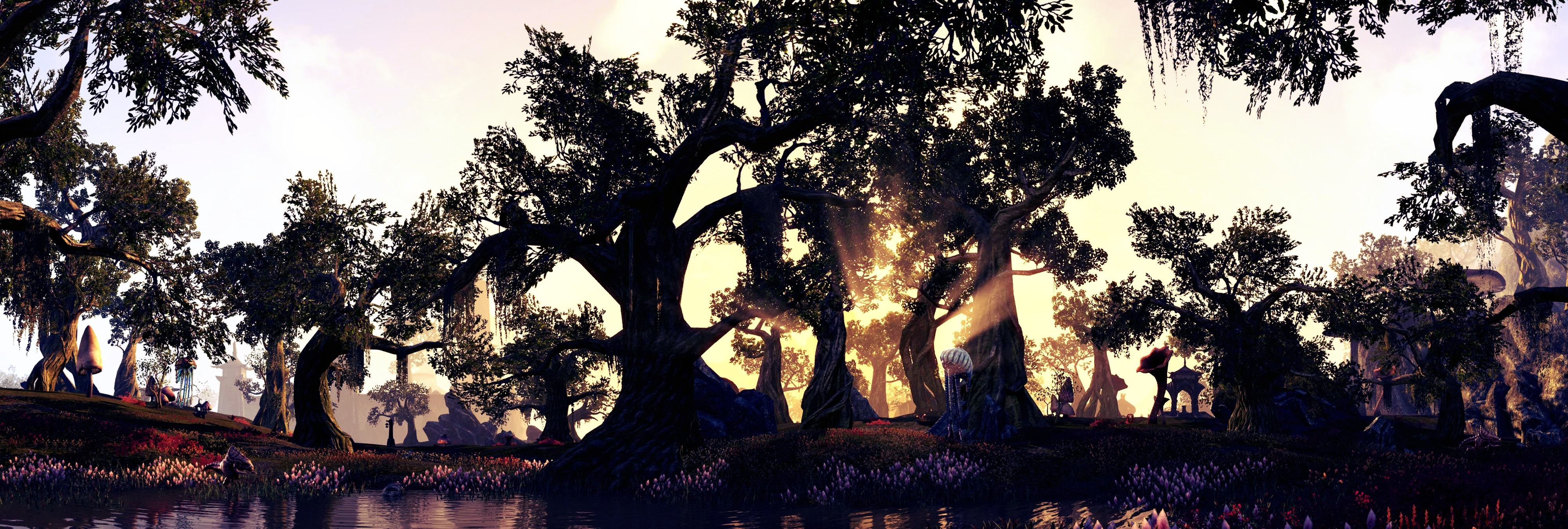 Download mobile wallpaper Sun, Tree, Video Game, The Elder Scrolls, The Elder Scrolls Online for free.