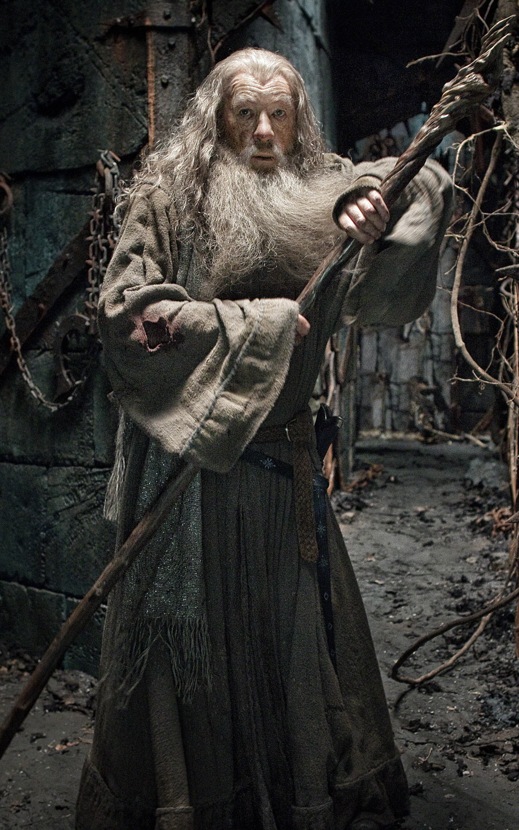 Download mobile wallpaper Movie, The Lord Of The Rings, Gandalf, Ian Mckellen, The Hobbit: The Desolation Of Smaug for free.