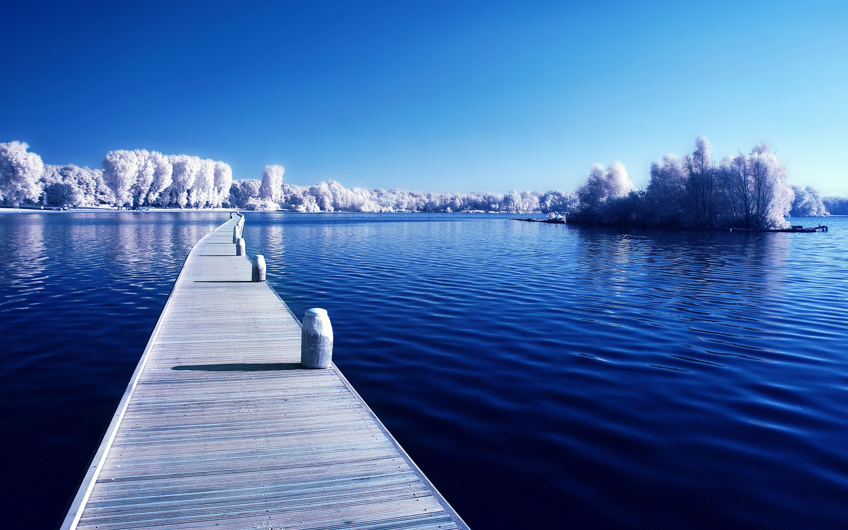 Laden Sie das Winter, Seebrücke, Baum, Menschengemacht-Bild kostenlos auf Ihren PC-Desktop herunter