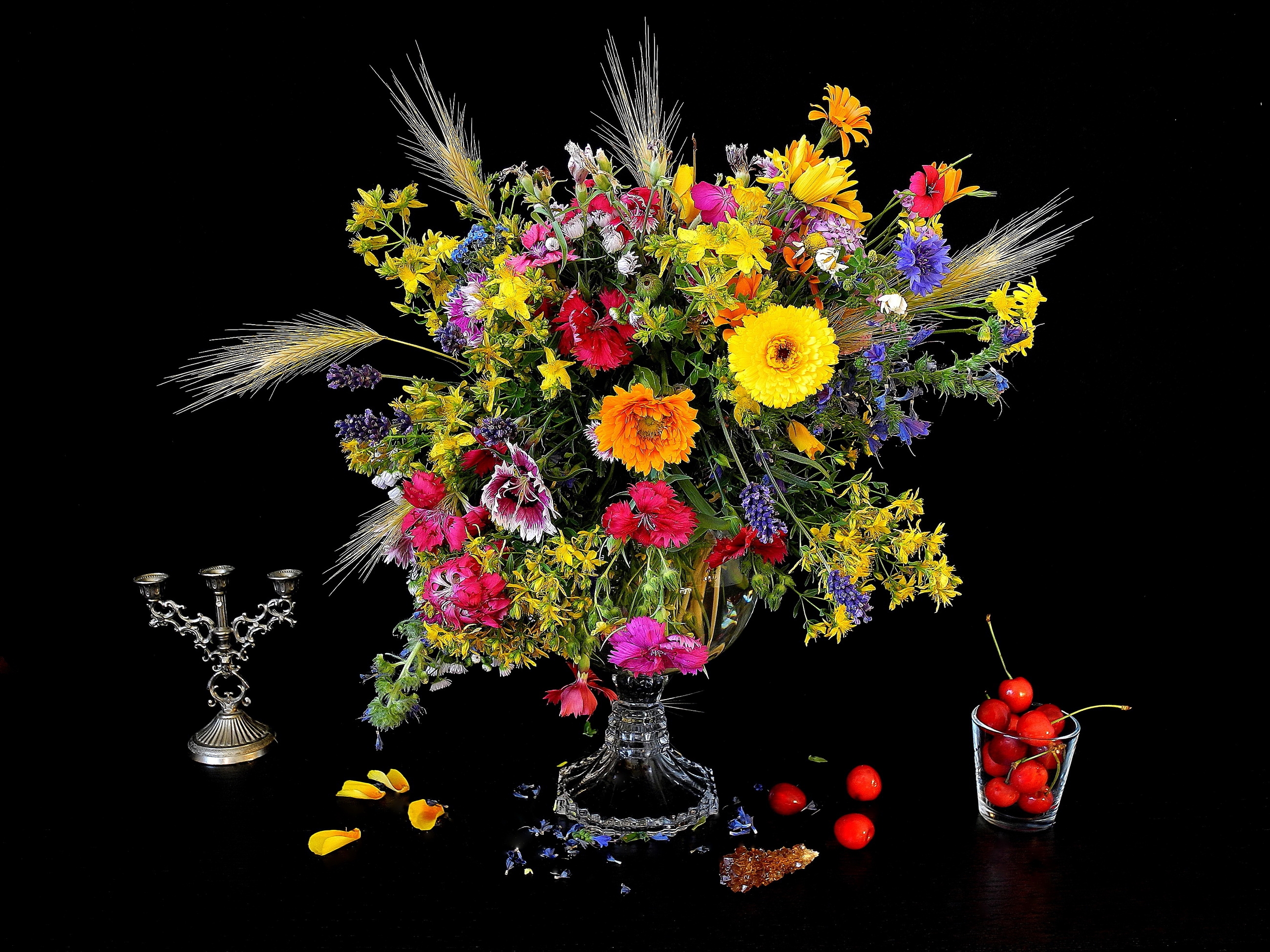 Laden Sie das Kirsche, Blume, Farben, Vase, Bunt, Fotografie, Stillleben-Bild kostenlos auf Ihren PC-Desktop herunter