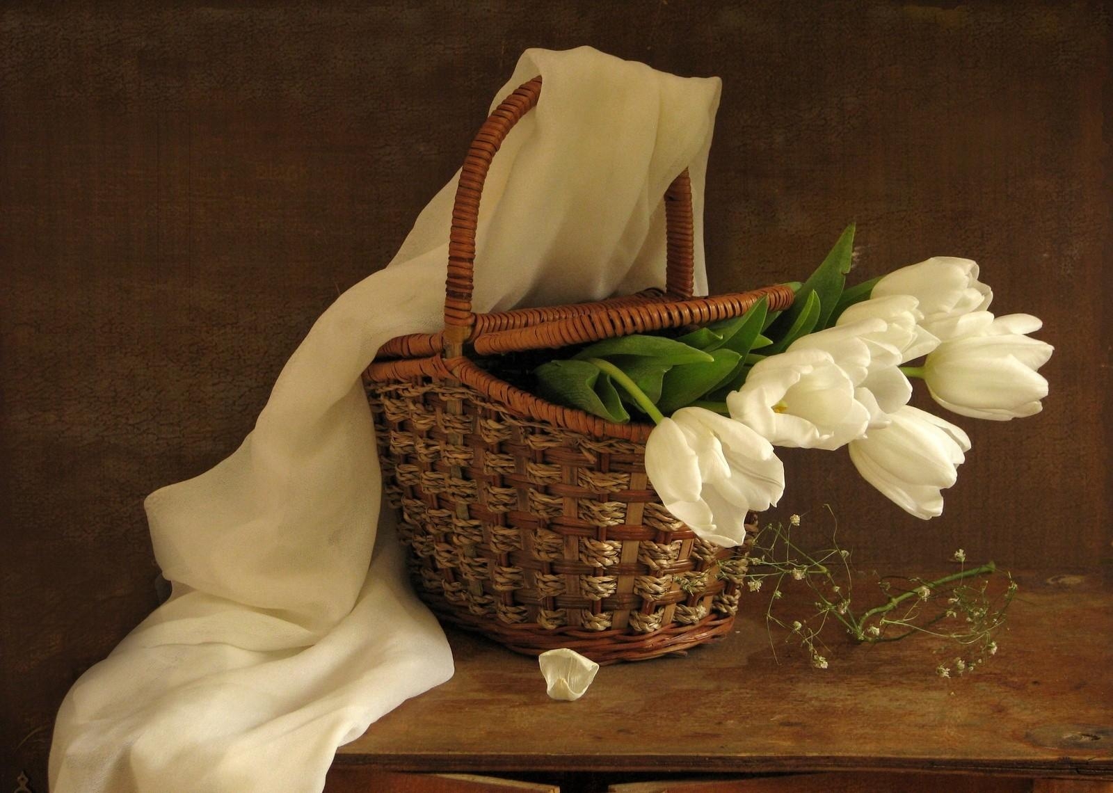 85061 скачать обои тюльпаны, корзинка, весна, белые, цветы, букет, шарф - заставки и картинки бесплатно