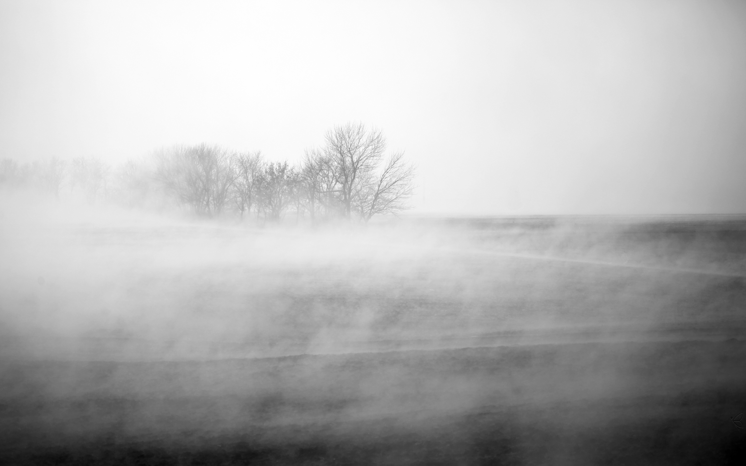 Скачать обои бесплатно Туман, Земля/природа картинка на рабочий стол ПК