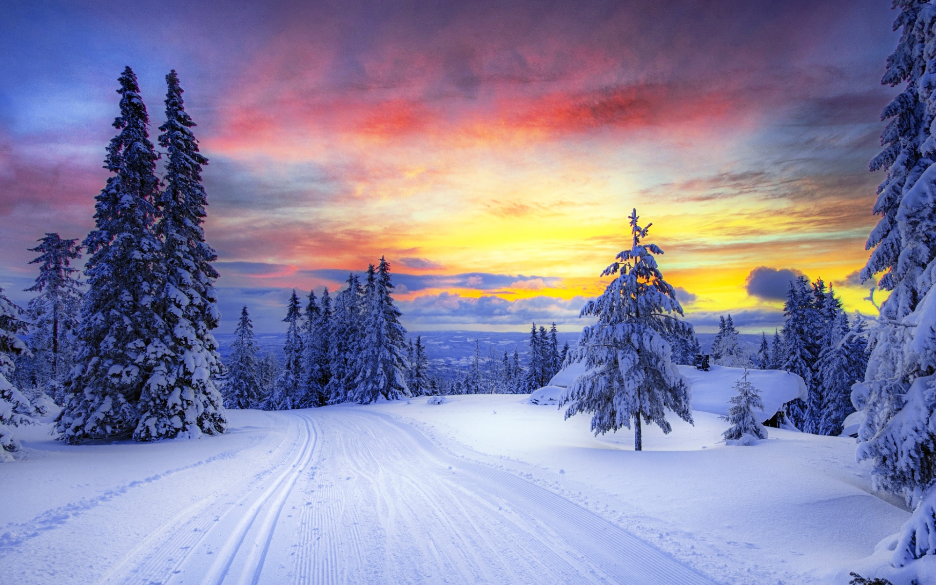 Free download wallpaper Winter, Snow, Tree, Earth on your PC desktop