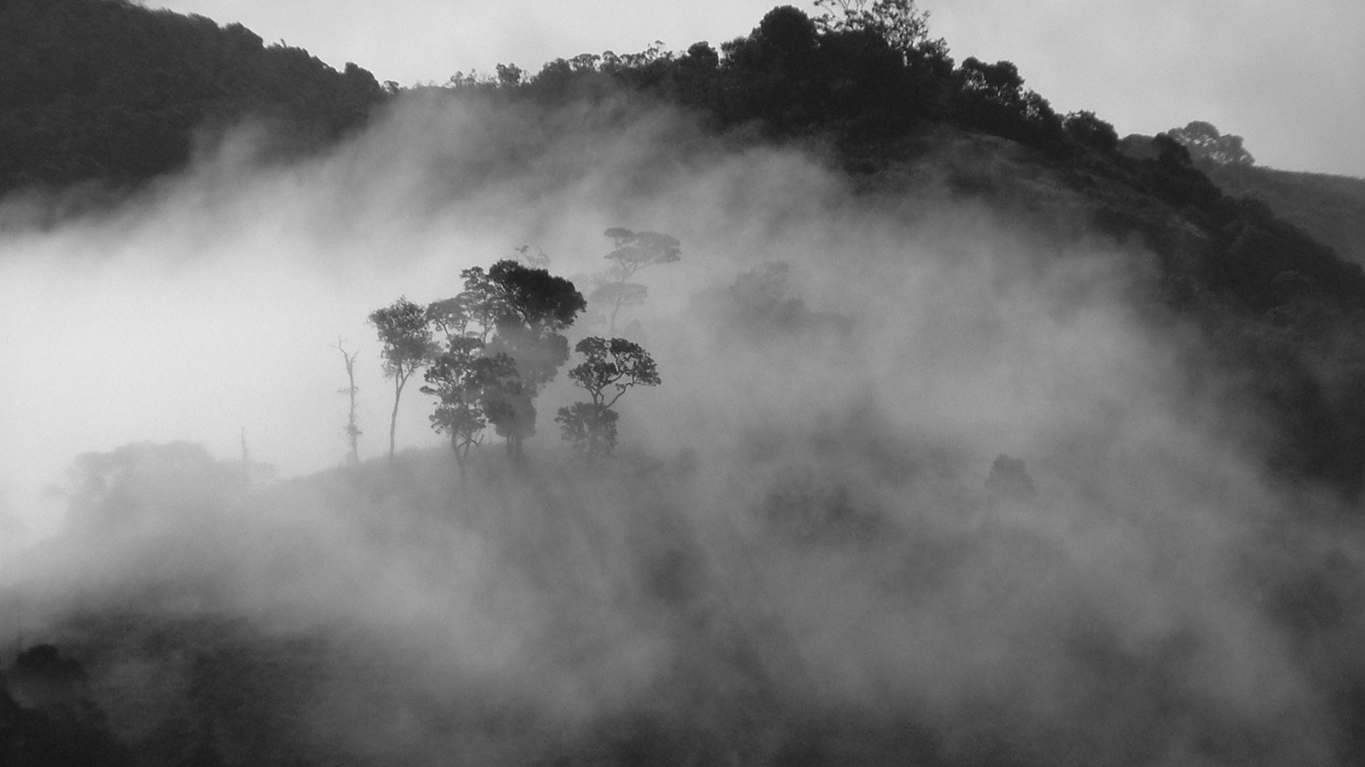Скачать картинку Туман, Земля/природа в телефон бесплатно.