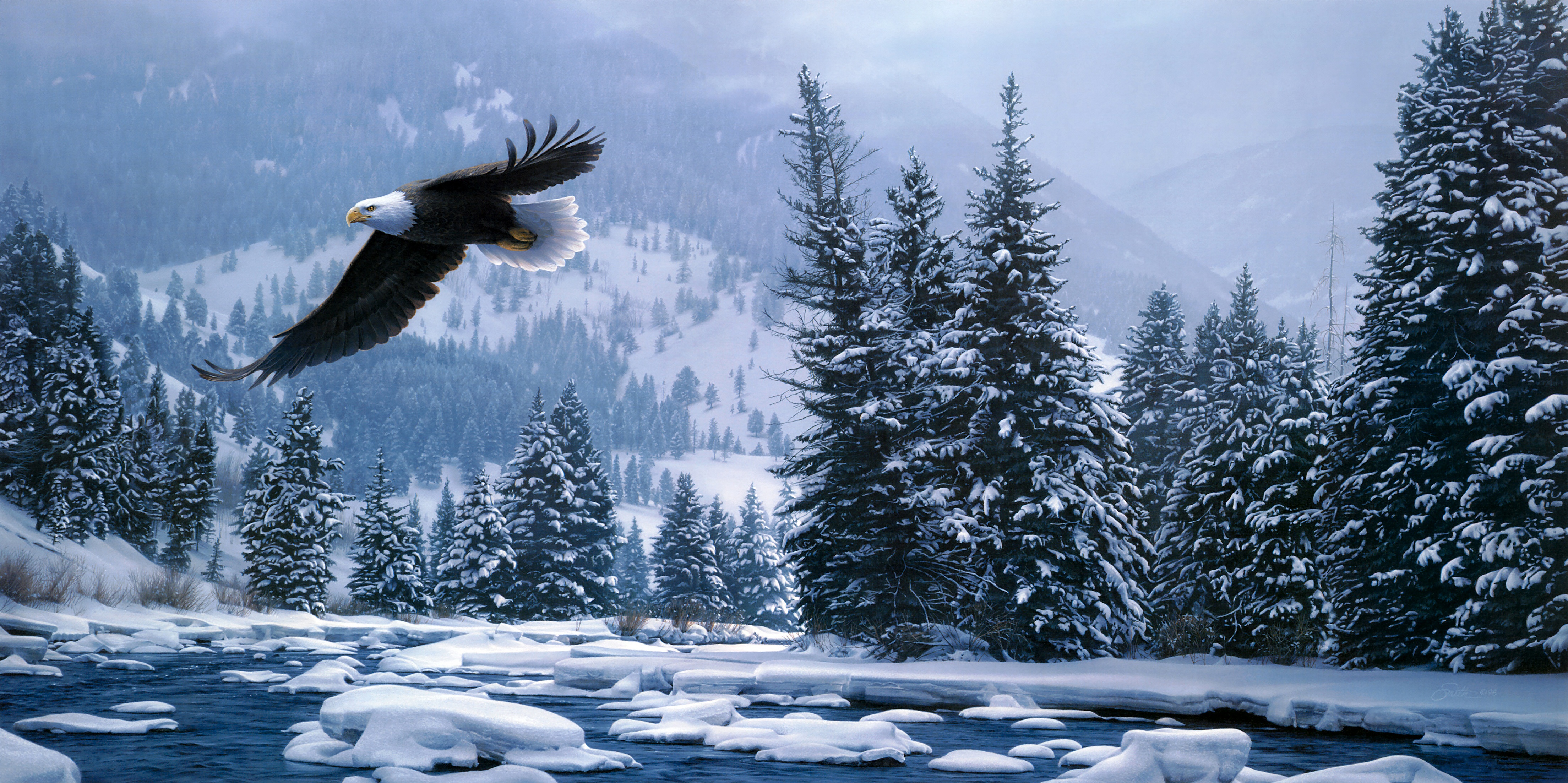 Descarga gratis la imagen Animales, Invierno, Nieve, Bosque, Vuelo, Águila Calva, Aves en el escritorio de tu PC