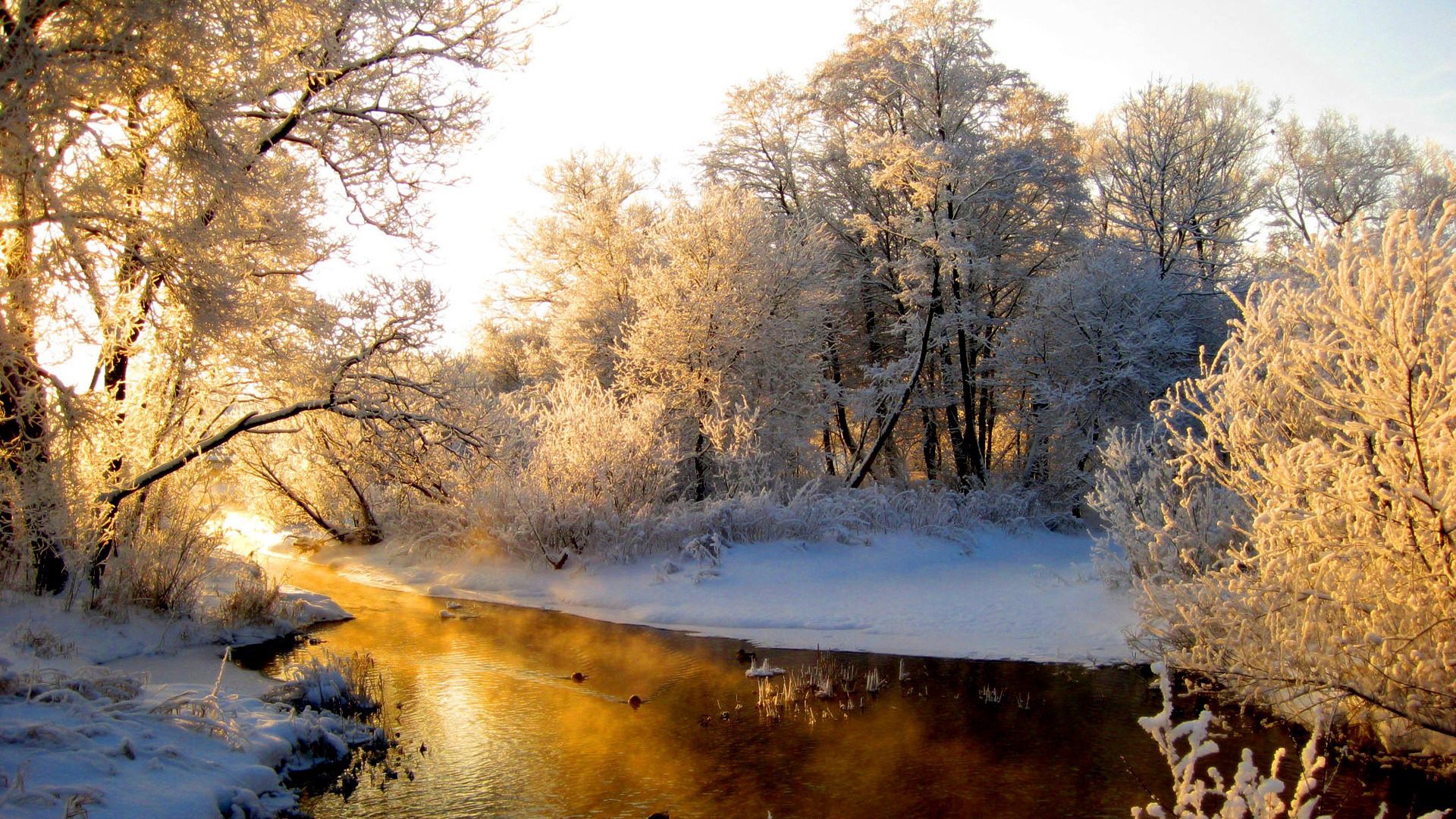shine, winter, nature, rivers, orange, reflection, light, forest, frost, hoarfrost, gray hair