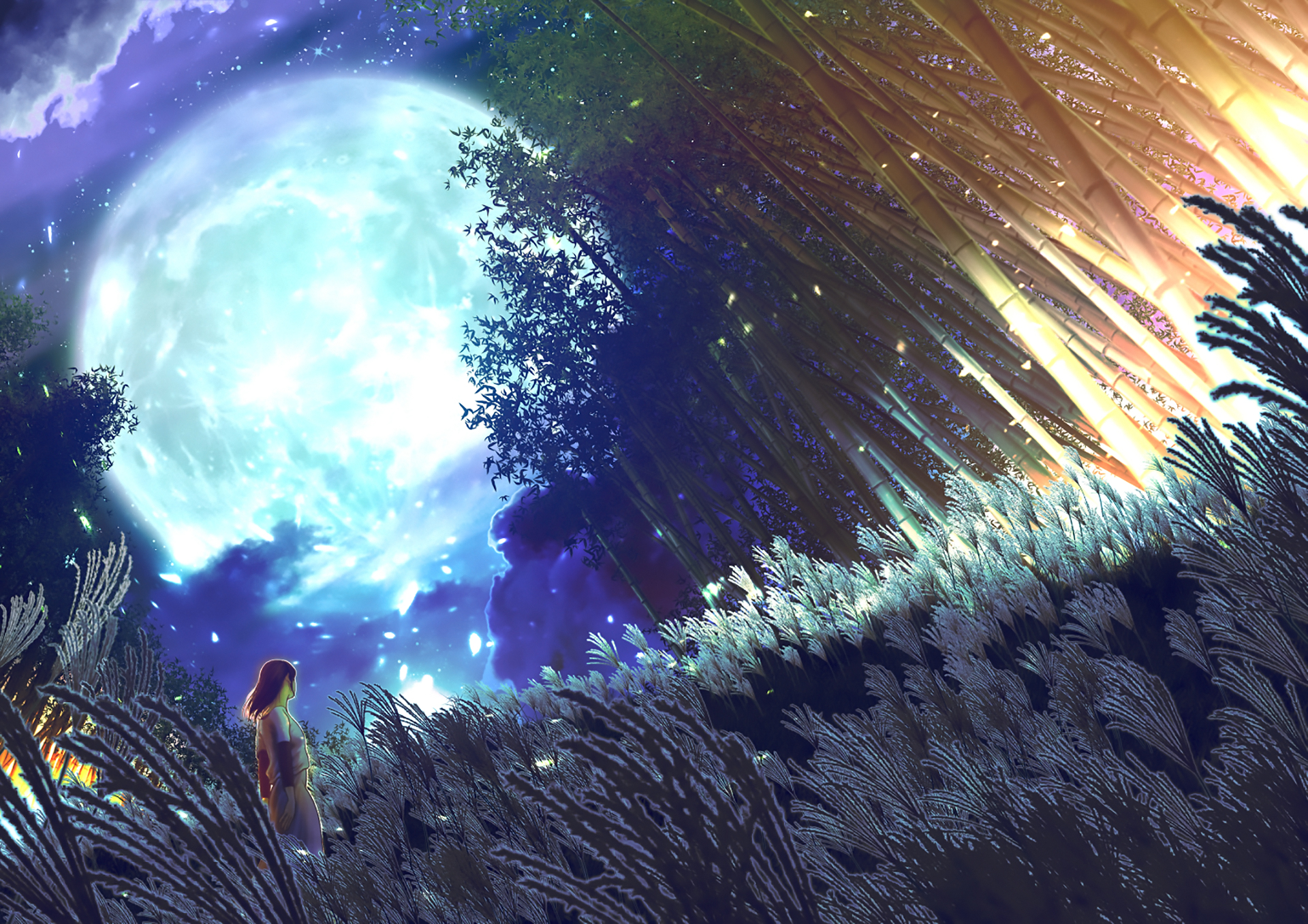 Free download wallpaper Anime, Stars, Night, Moon, Tree, Bamboo, Original on your PC desktop