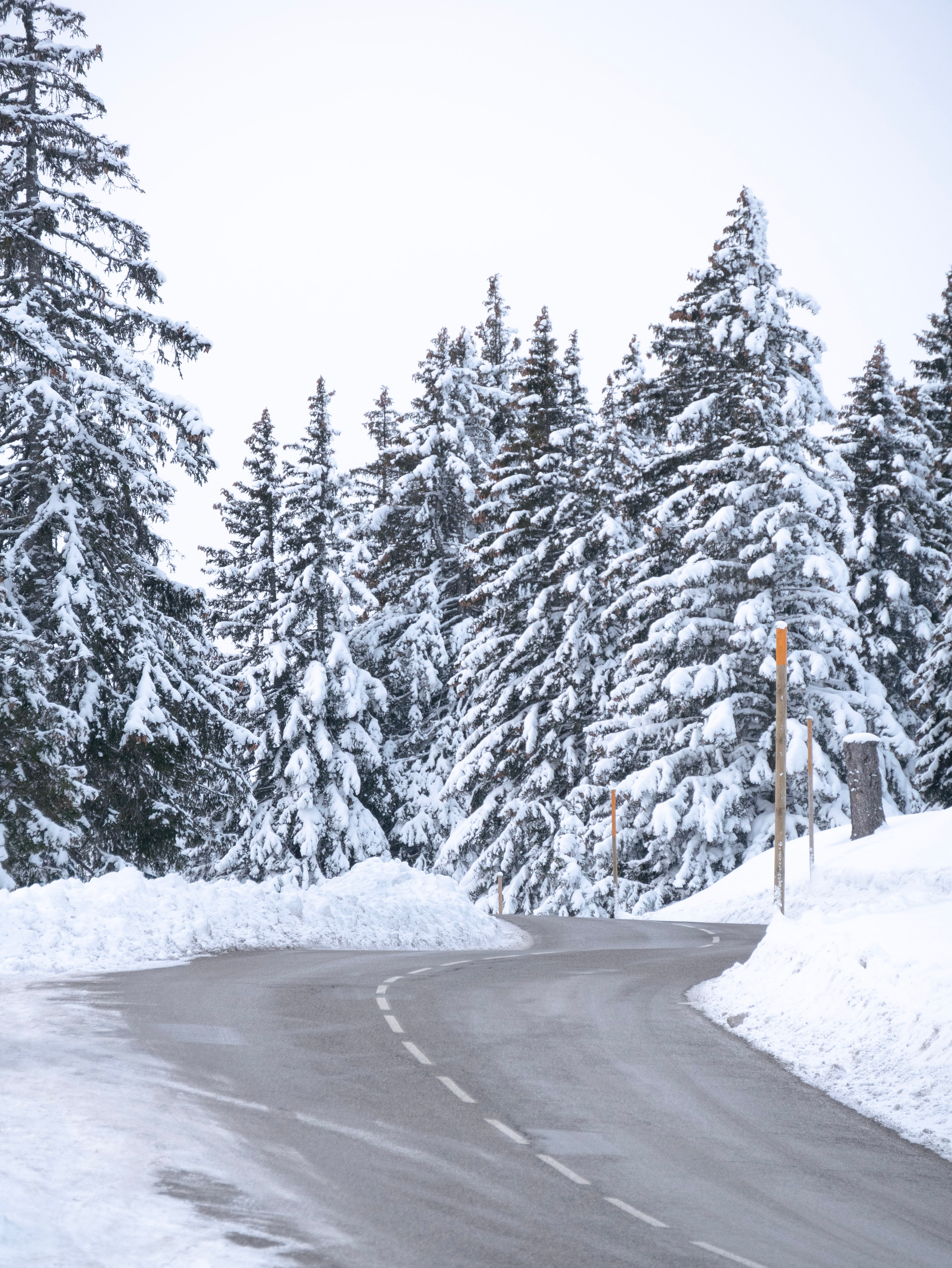 PCデスクトップに自然, モミの木, 道, 木, 道路, 雪, 冬画像を無料でダウンロード
