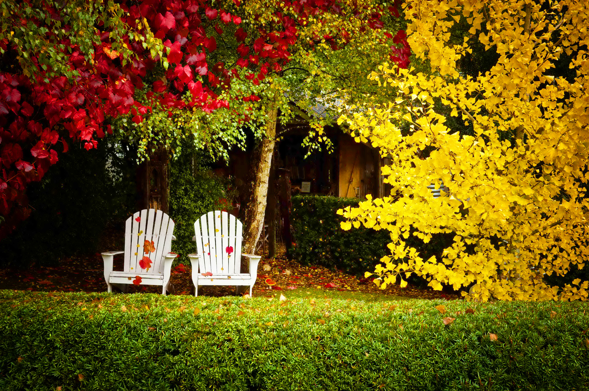 Baixar papel de parede para celular de Outono, Cadeira, Árvore, Mobília, Feito Pelo Homem gratuito.