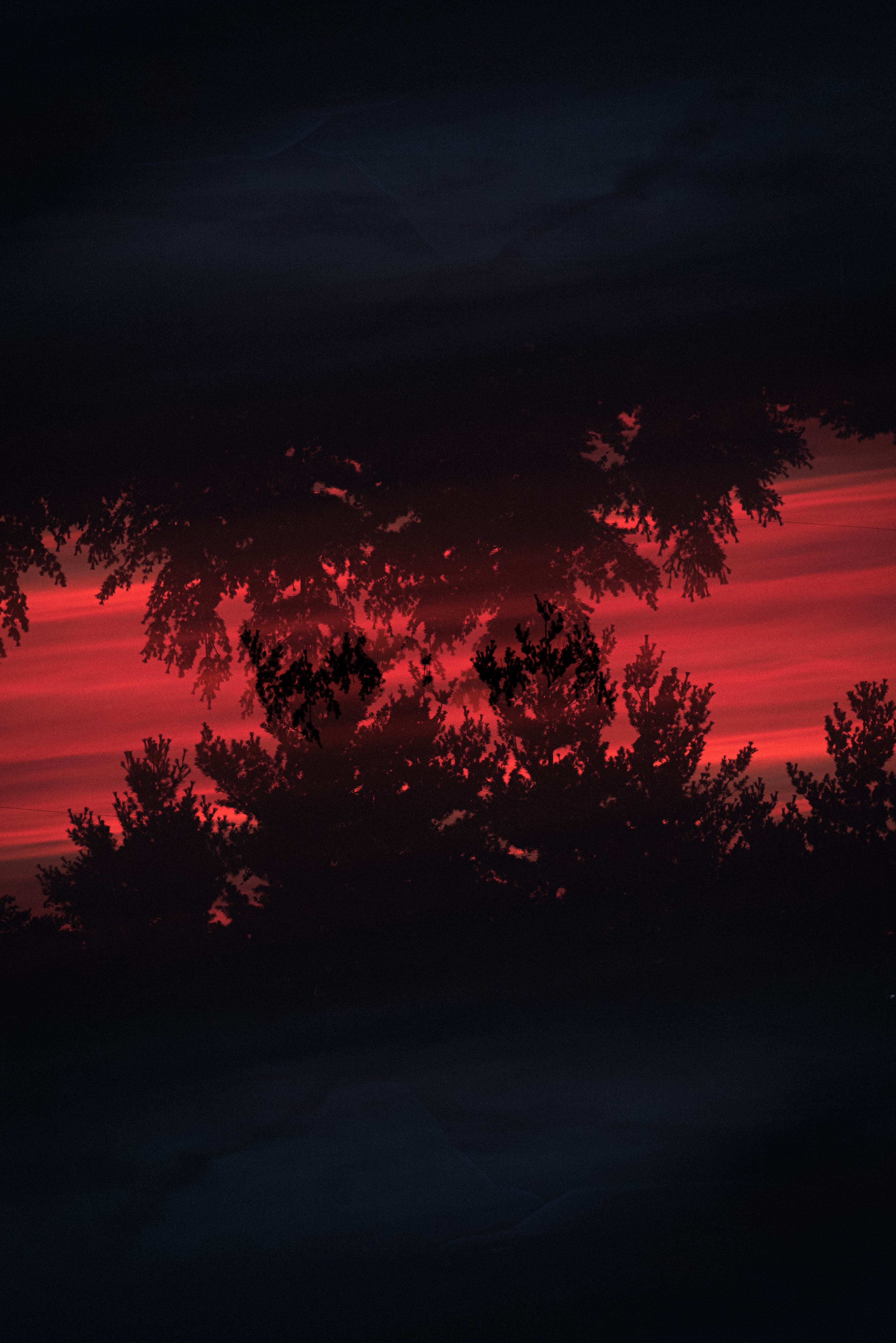 Laden Sie das Bäume, Bush, Reflexion, Silhouette, Dunkel-Bild kostenlos auf Ihren PC-Desktop herunter