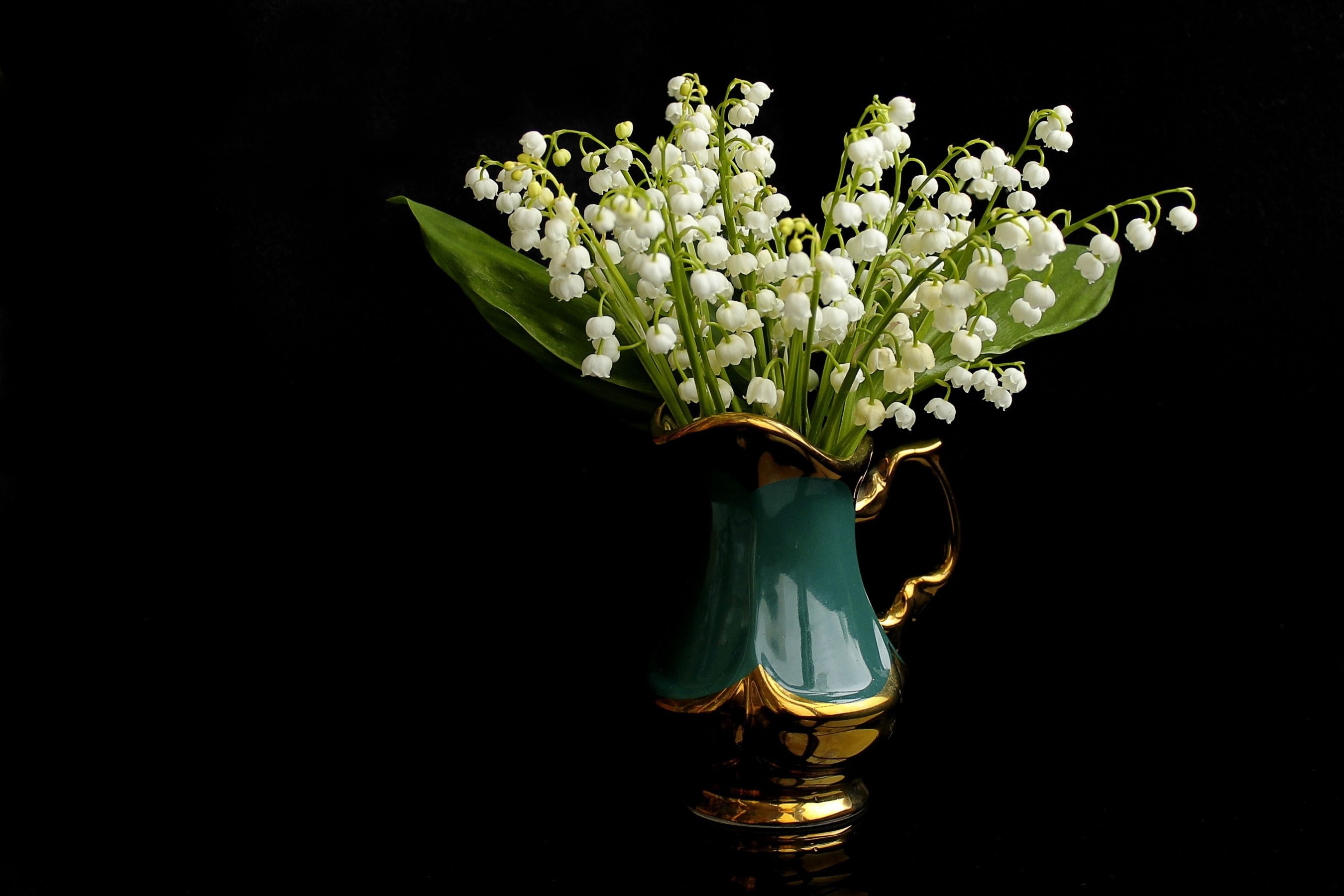 lily of the valley, man made, flower, pitcher, white flower Panoramic Wallpaper