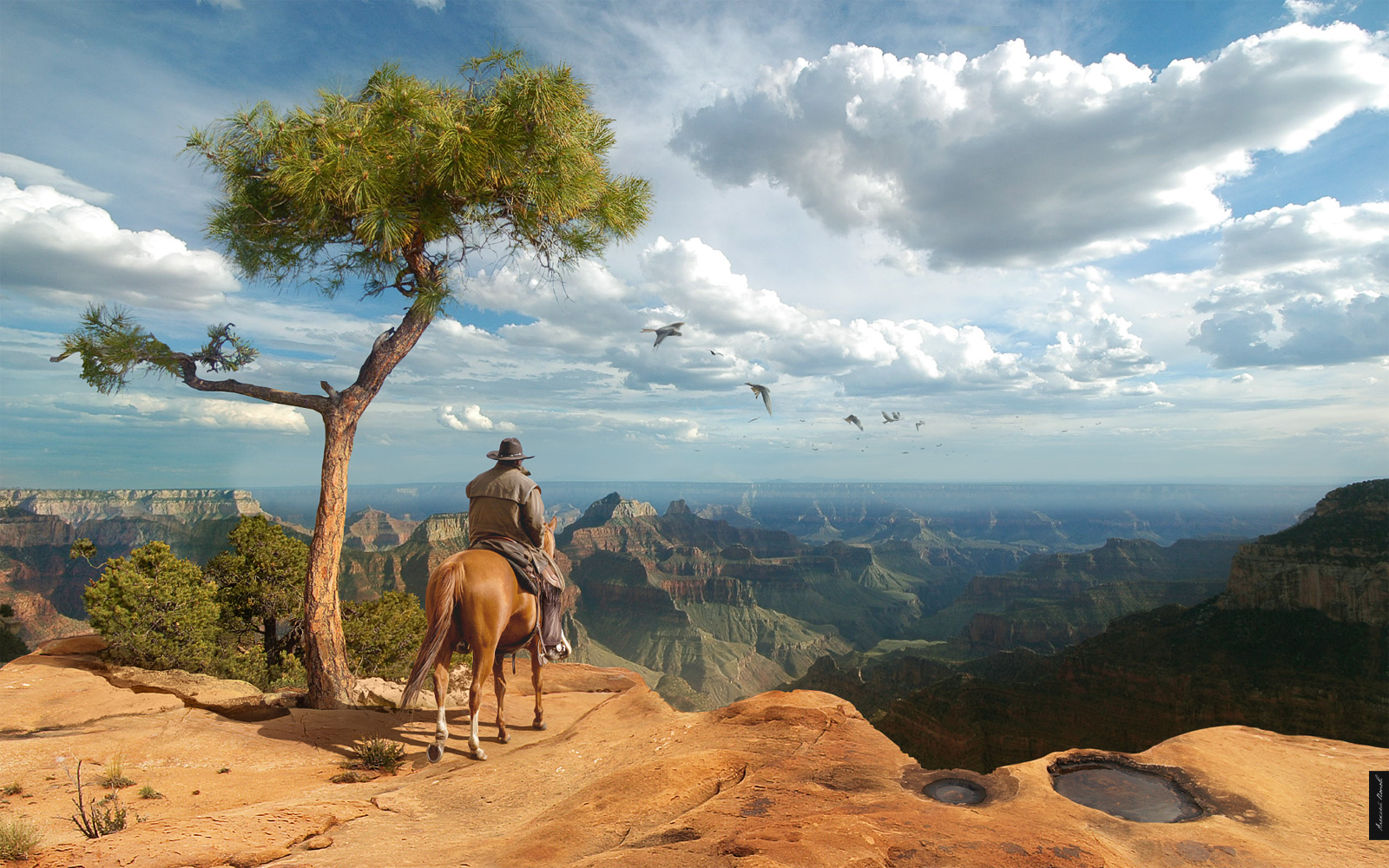 744896 Hintergrundbild herunterladen männer, cowboy, schlucht, grand canyon, hauspferd, landschaft - Bildschirmschoner und Bilder kostenlos