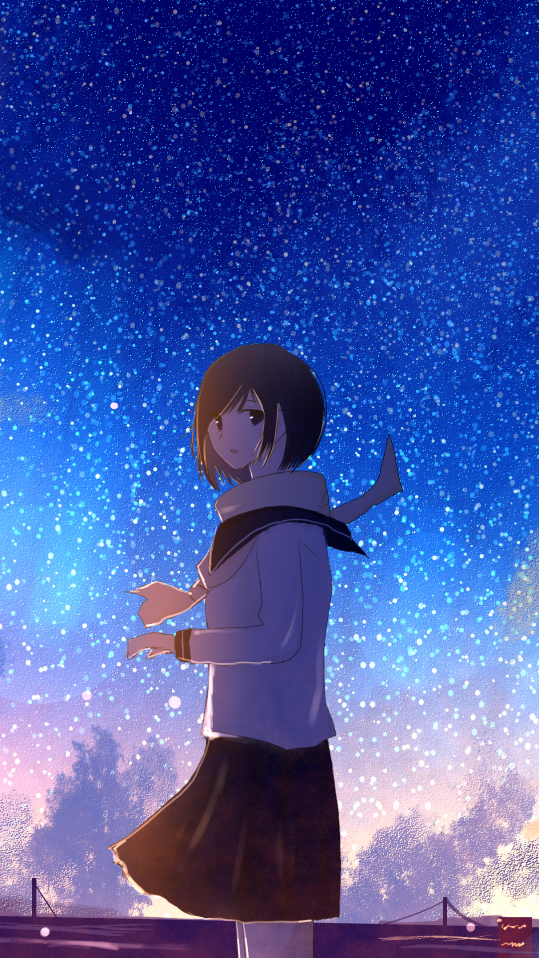 Download mobile wallpaper Anime, Starry Sky, Original, Shooting Star for free.