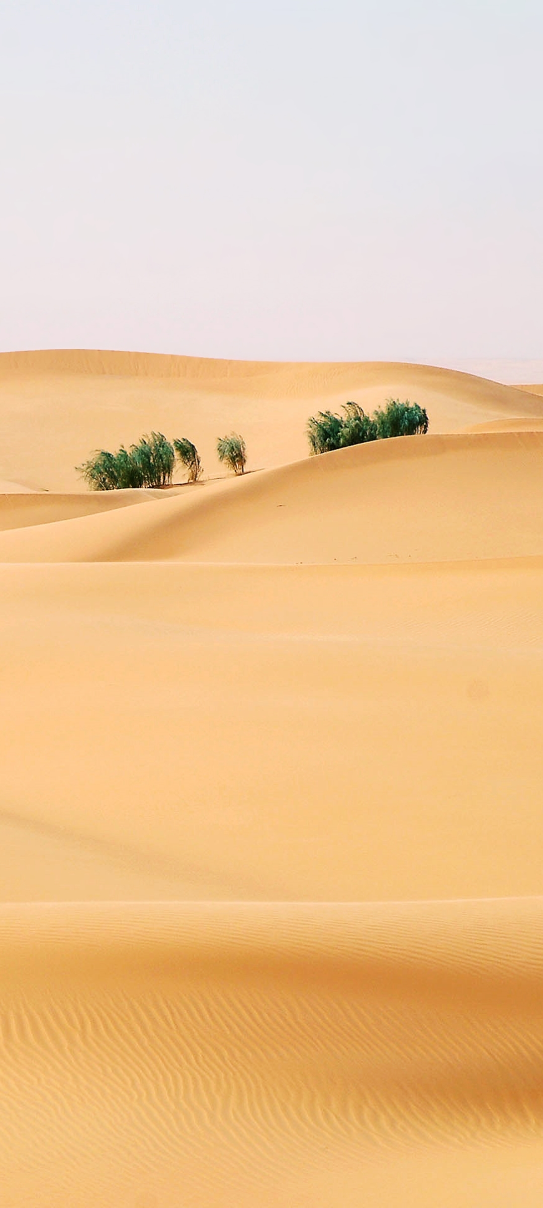 Скачать картинку Песок, Пустыня, Сахара, Африка, Земля/природа в телефон бесплатно.