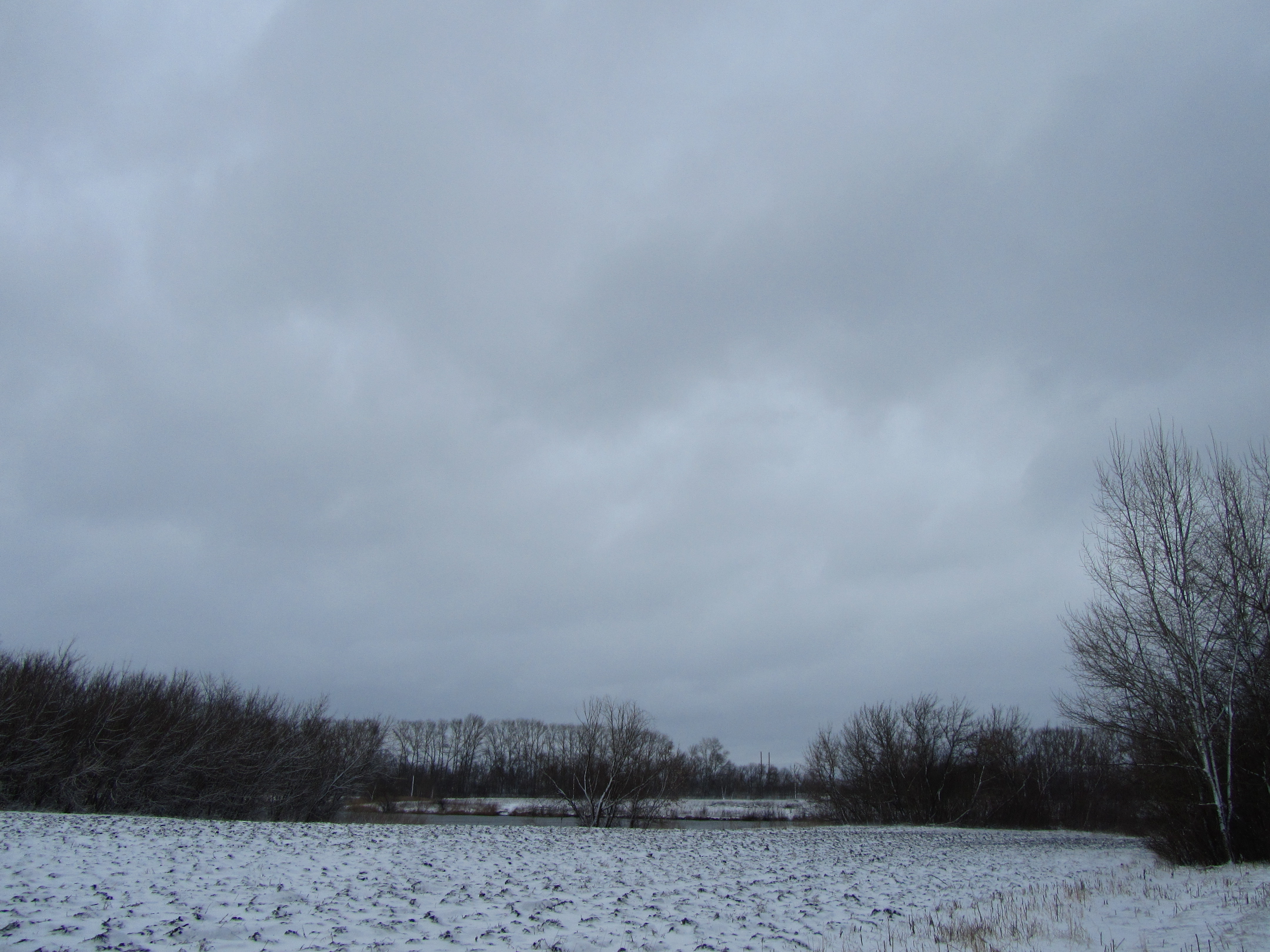 Descarga gratuita de fondo de pantalla para móvil de Invierno, Tierra/naturaleza.