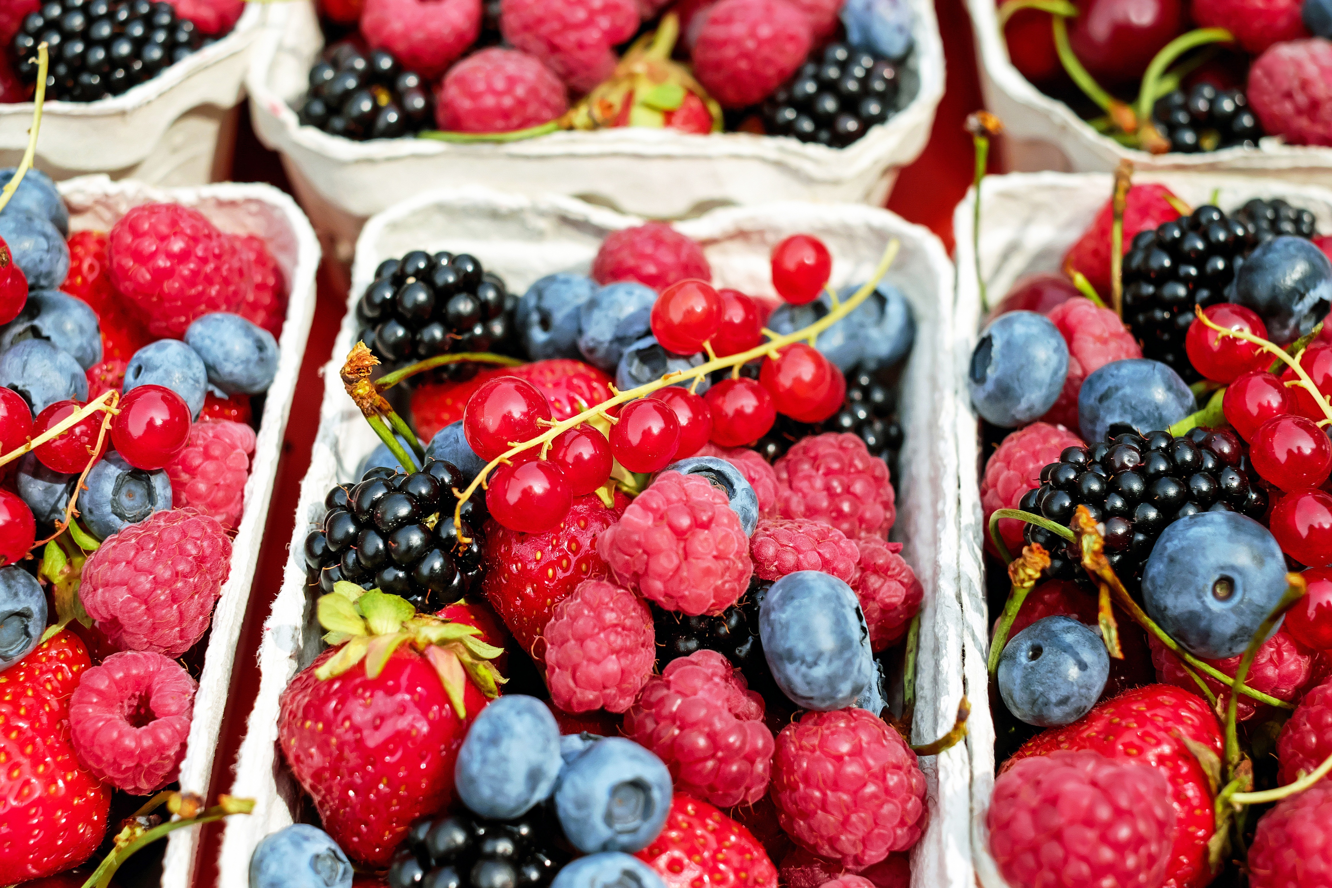 Download mobile wallpaper Food, Strawberry, Blueberry, Raspberry, Blackberry, Berry, Fruit, Currants for free.