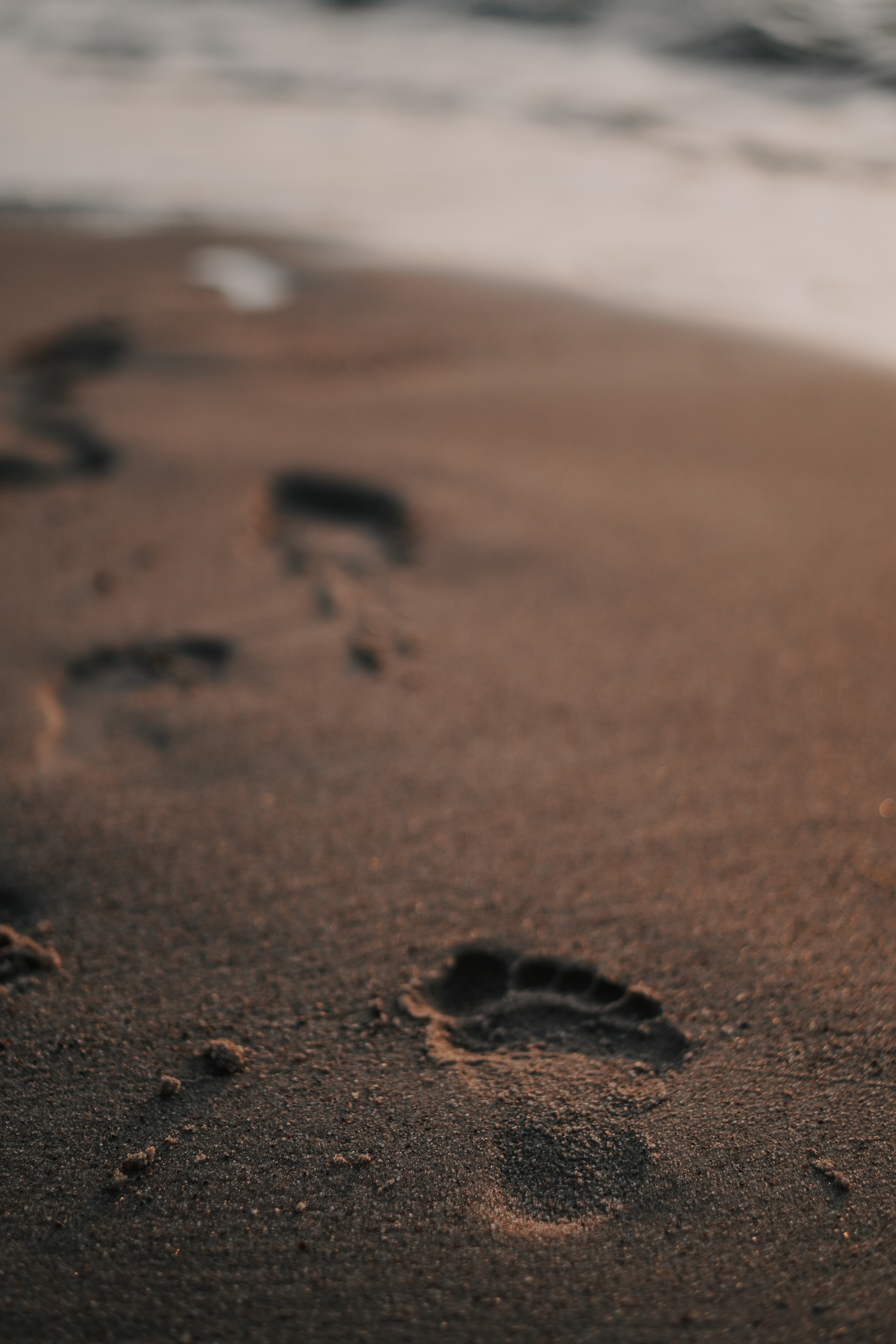 miscellaneous, beach, sand, miscellanea, track, trace wallpapers for tablet