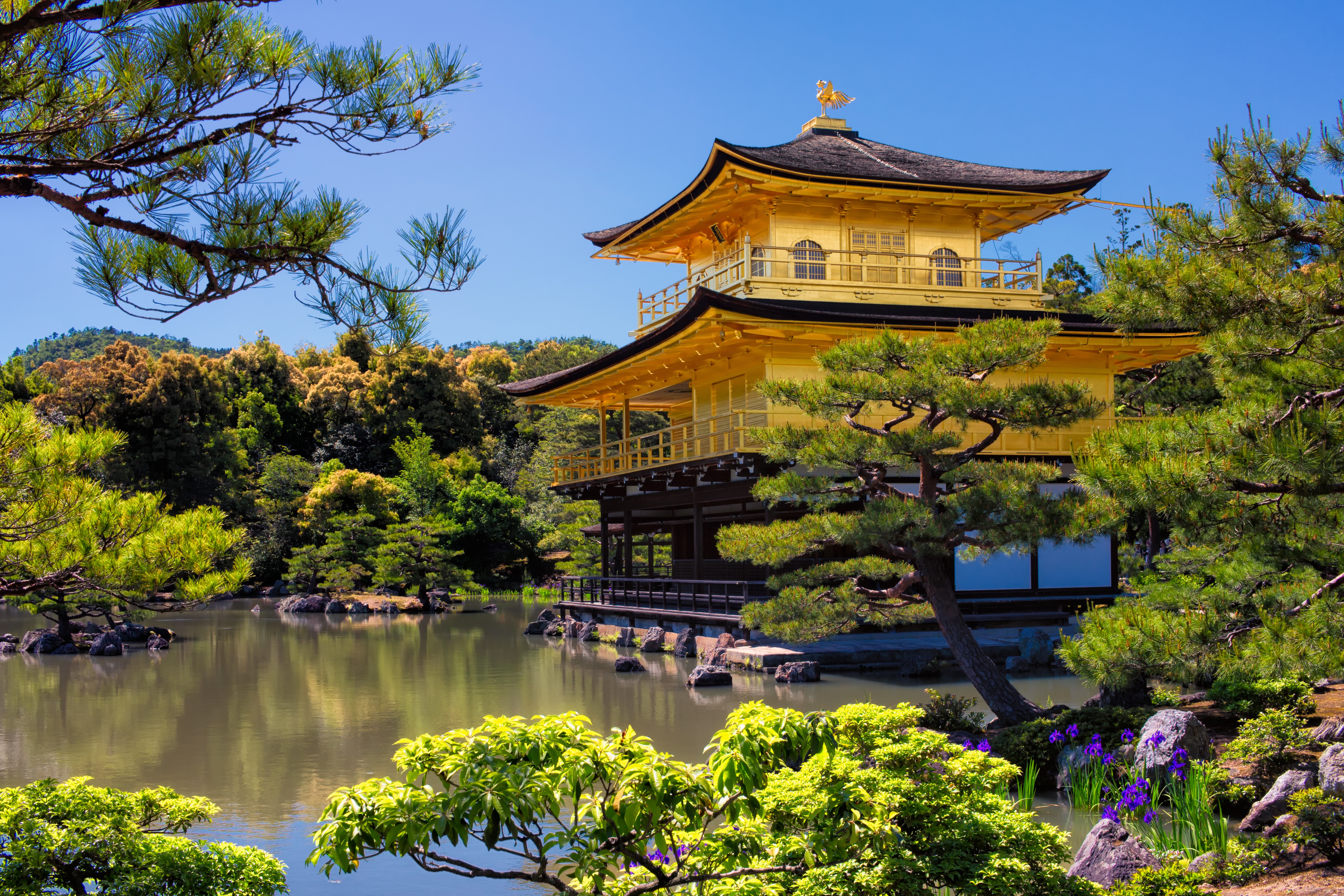 religious, kinkaku ji, landscape, nature, park, pond, tree, temples