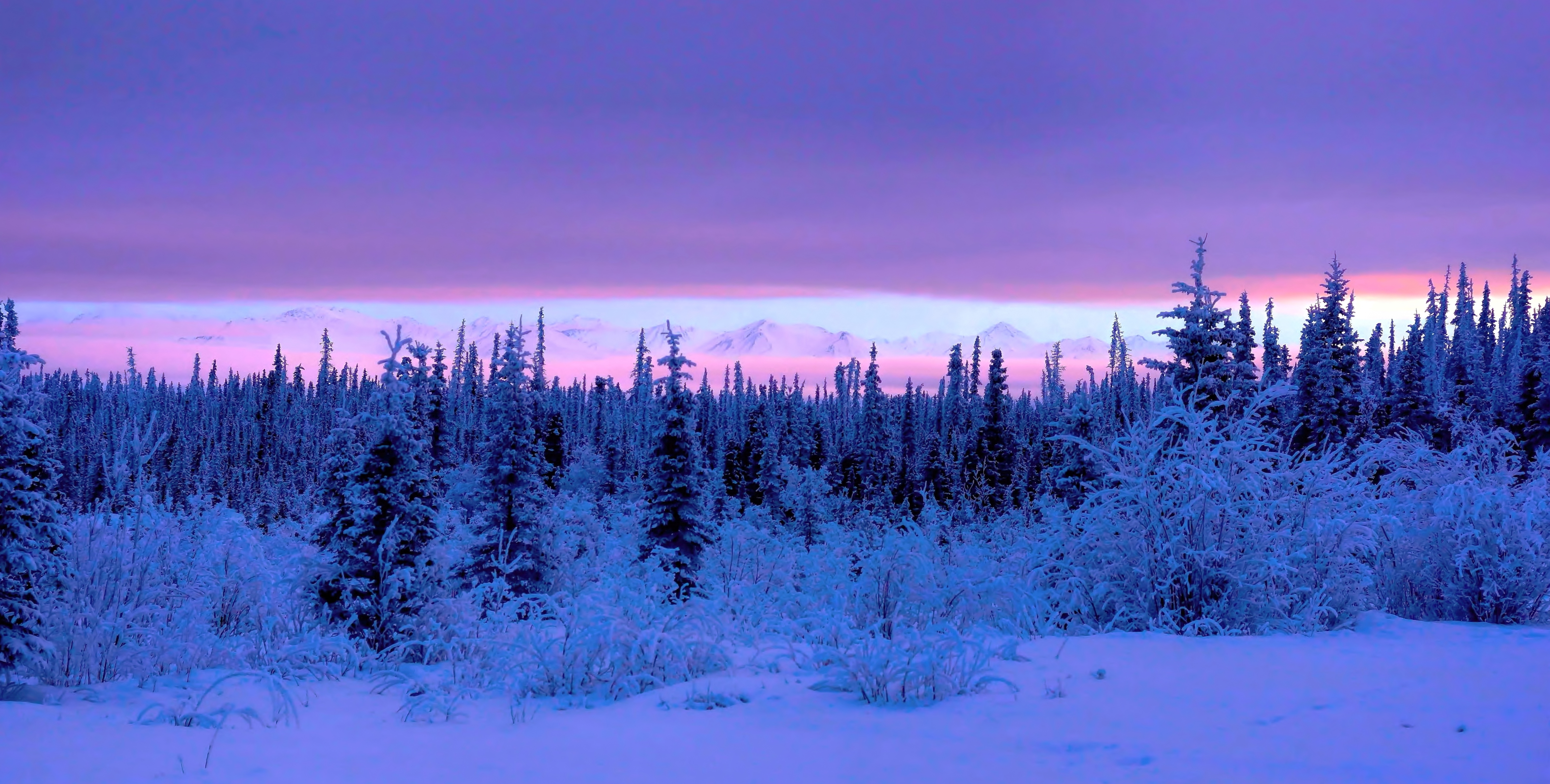 Handy-Wallpaper Winter, Erde/natur kostenlos herunterladen.