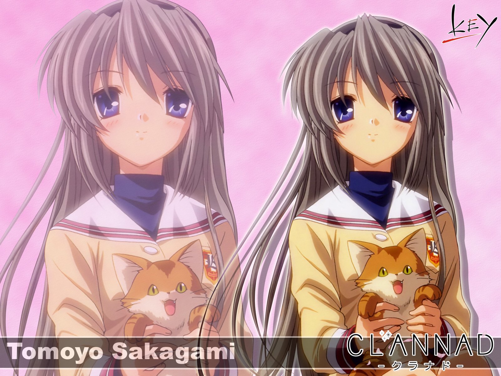 Handy-Wallpaper Animes, Clannad, Tomoyo Sakagami kostenlos herunterladen.